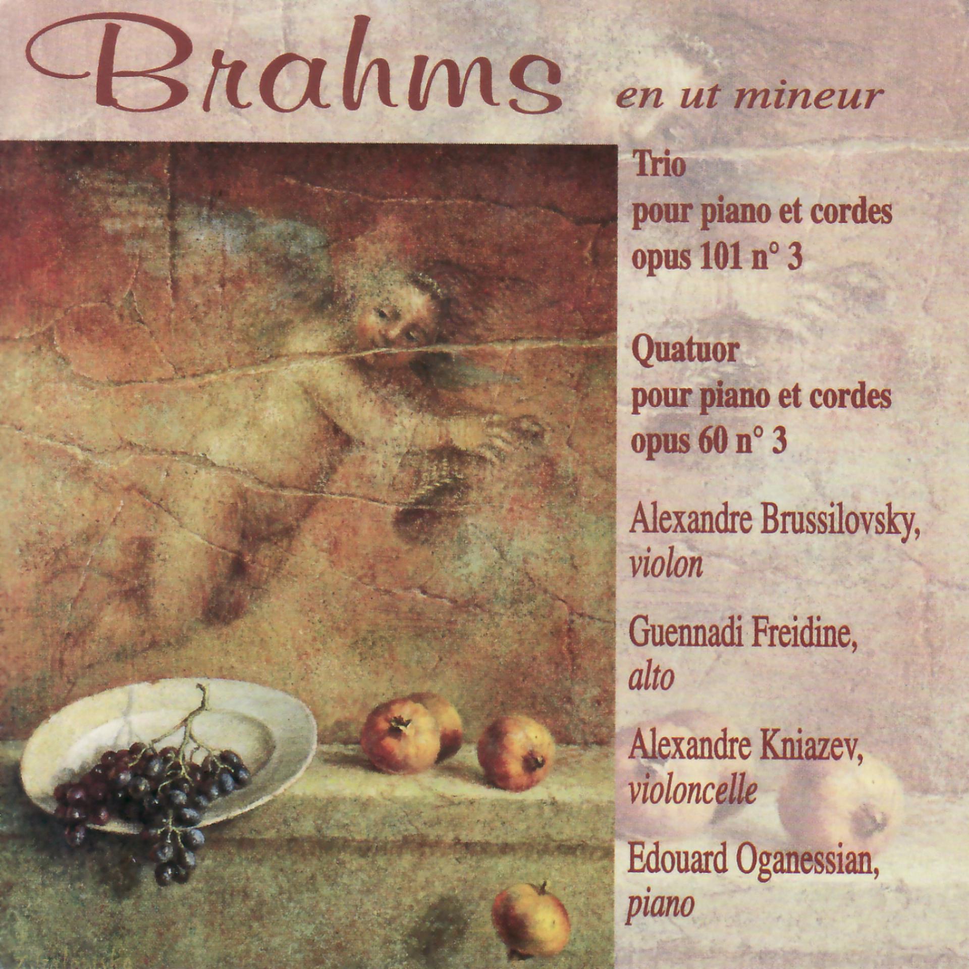 Постер альбома Brahms : Trio opus 101 n° 3 pour piano et cordes, Quatuor opus 60 n°3 pour piano et cordes