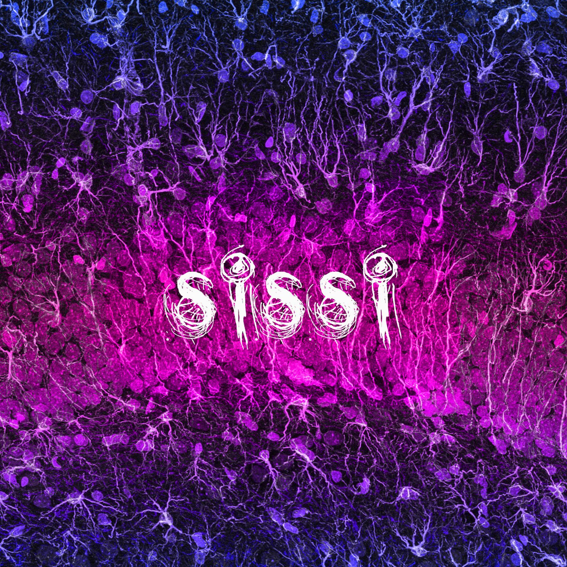 Постер альбома Sissi