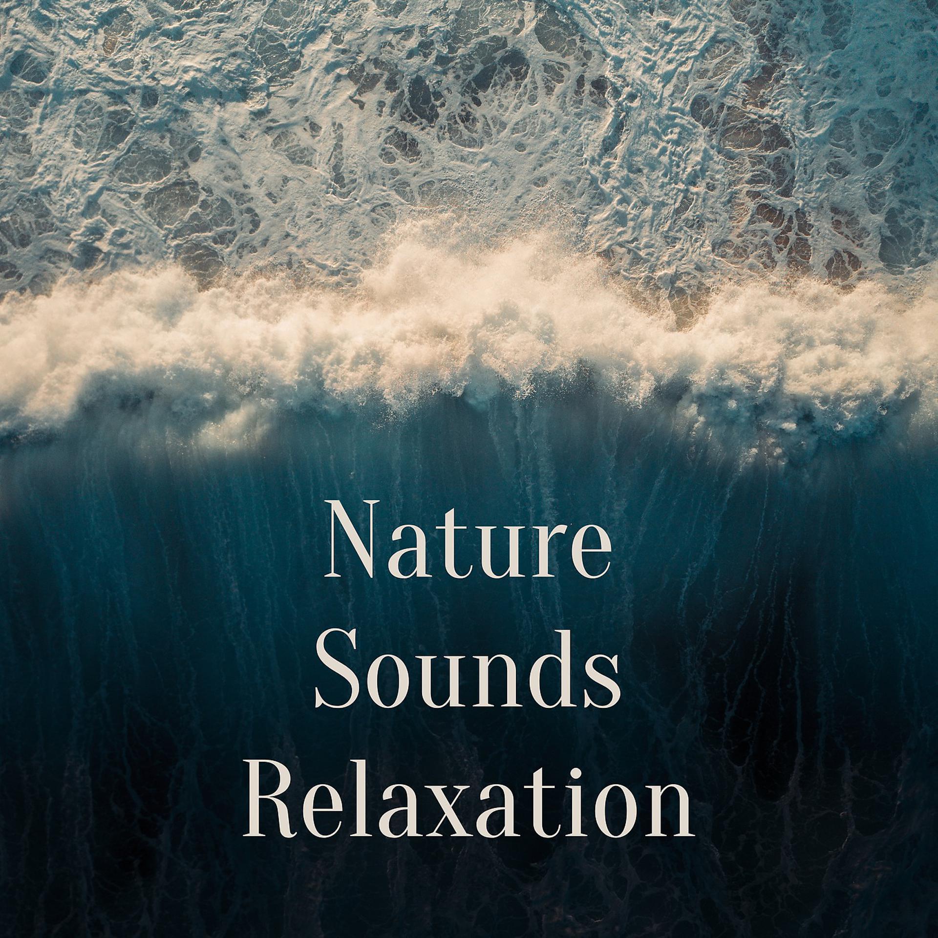 Постер альбома Nature Sounds Relaxation