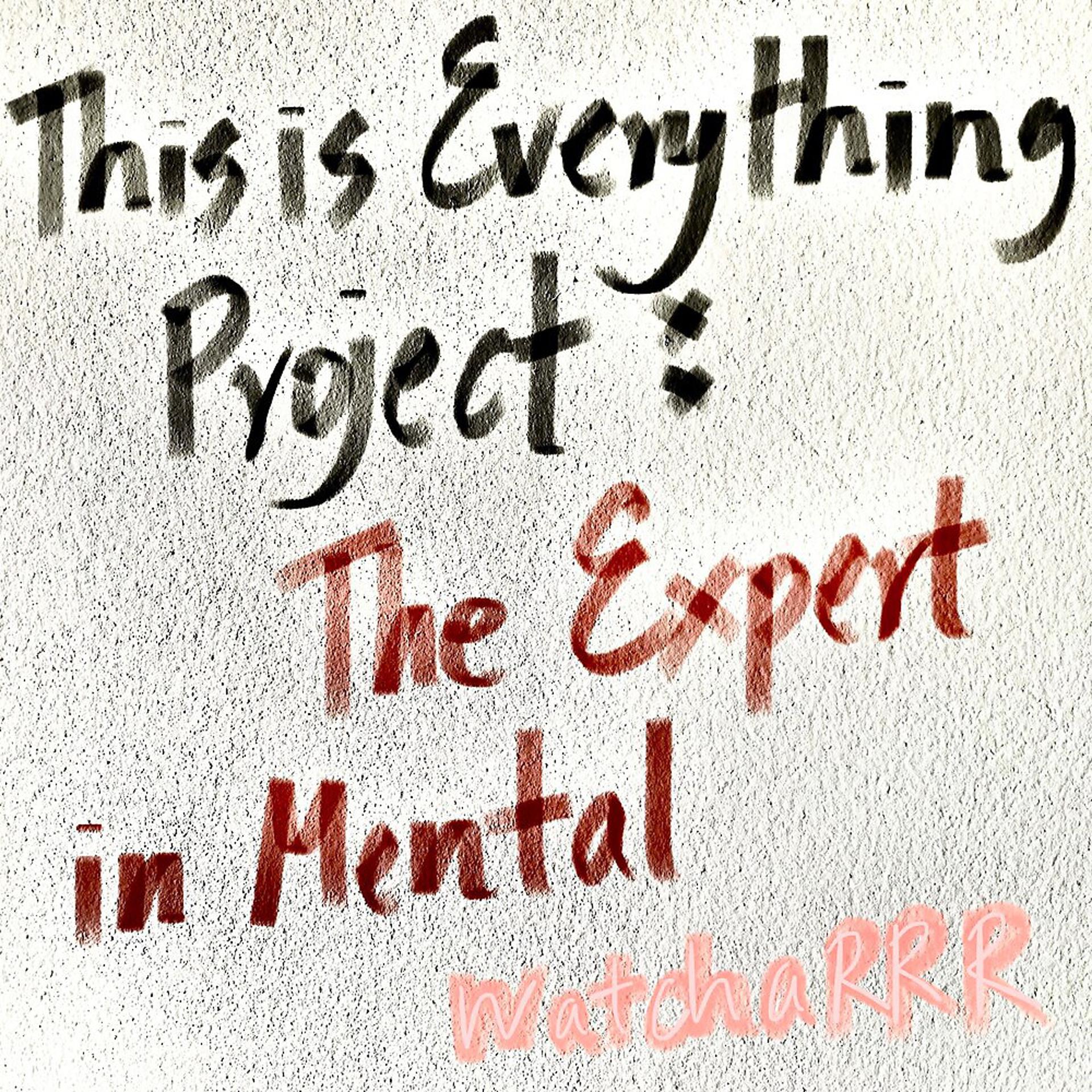 Постер альбома This Is Everything Project: The Expert in Mental