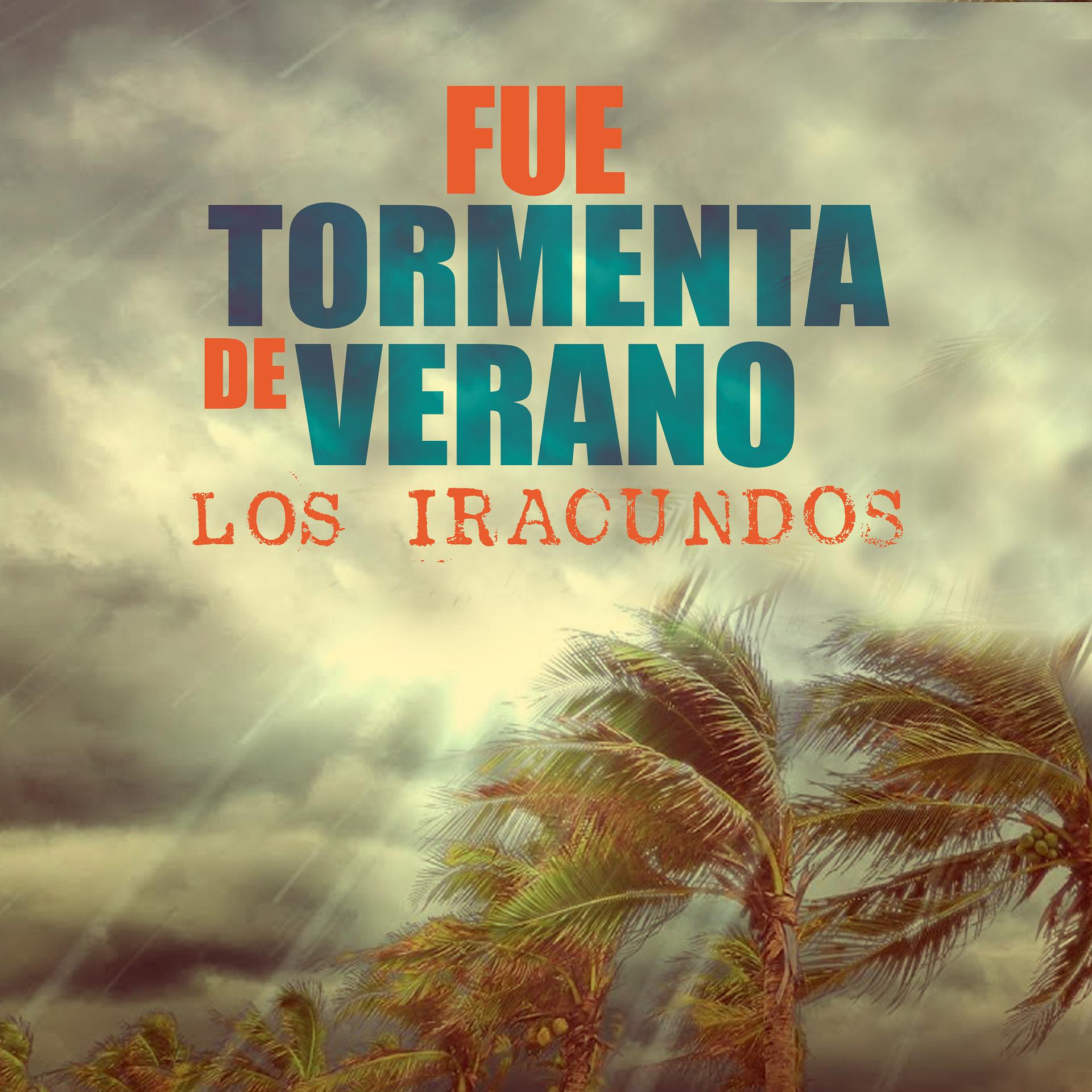 Постер альбома Fue Tormenta de Verano (En Vivo)