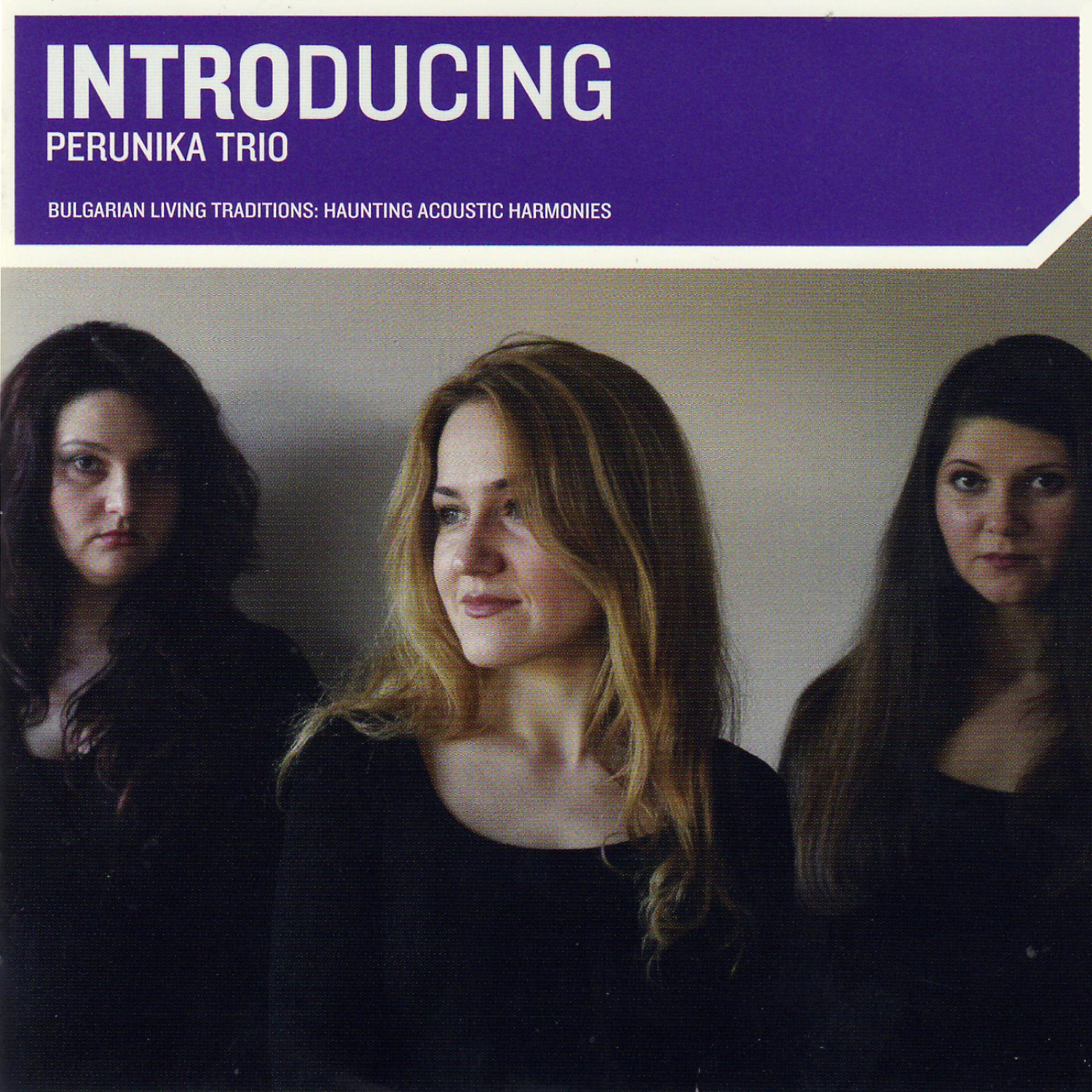 Постер альбома Introducing Perunika Trio
