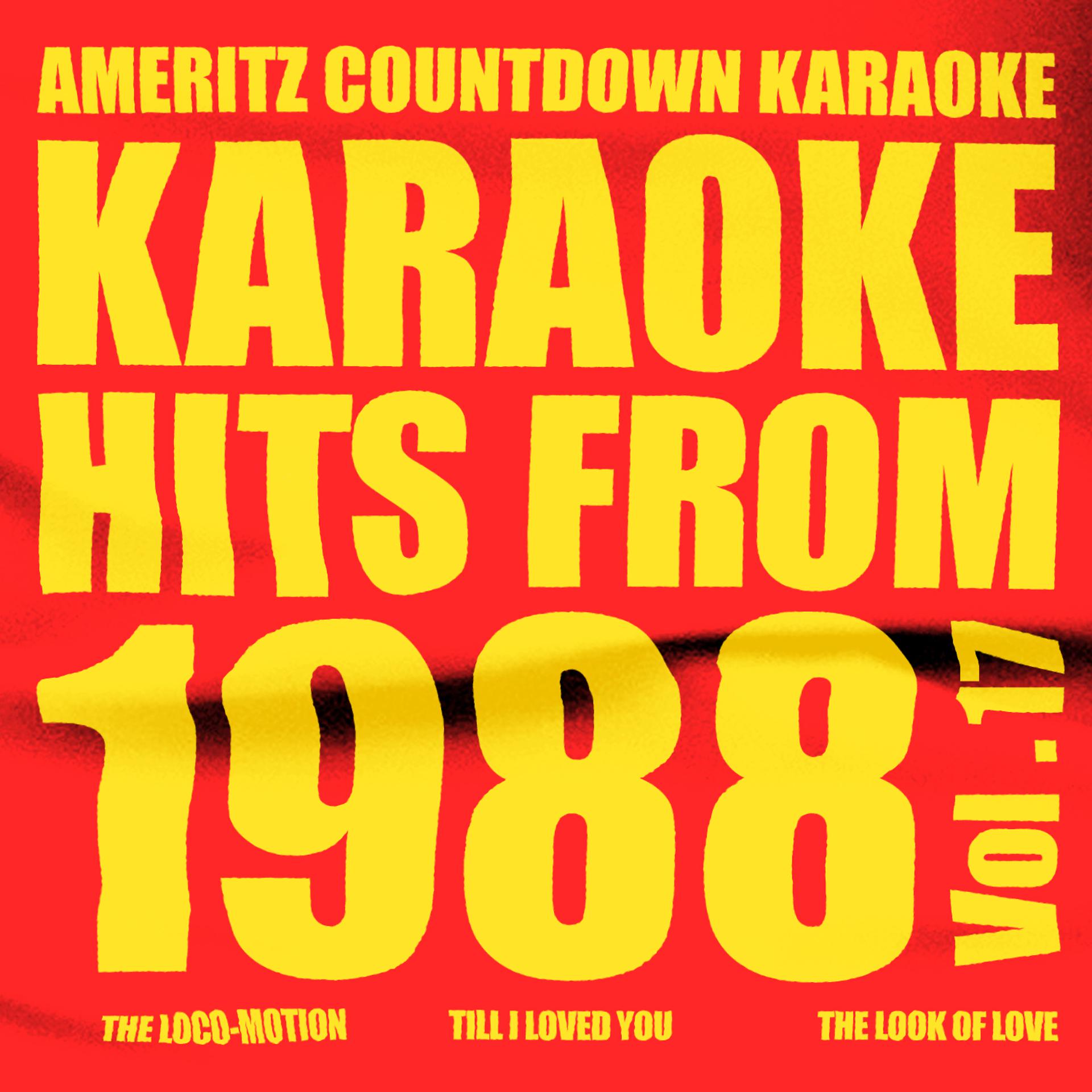 Постер альбома Karaoke Hits from 1988, Vol. 17