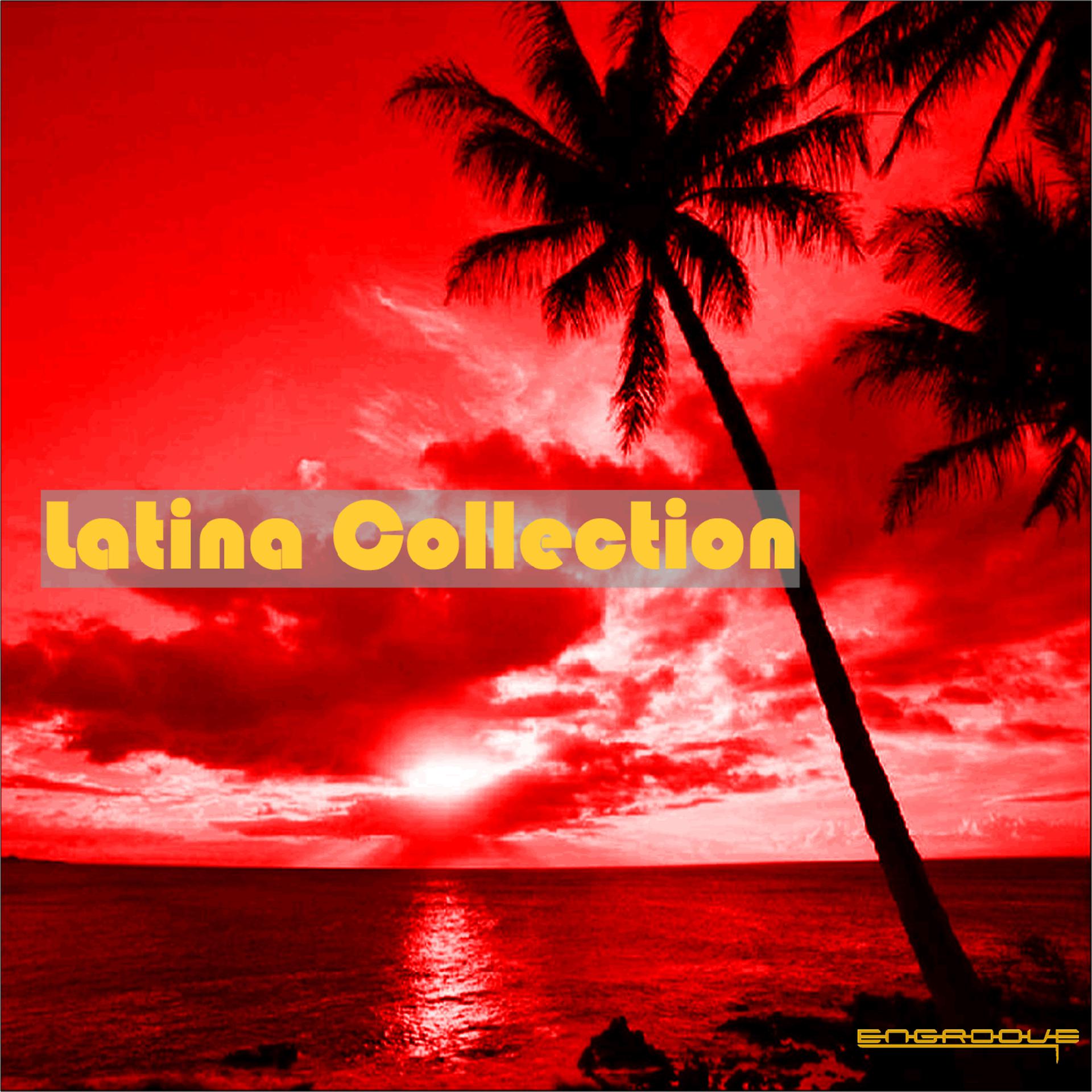 Постер альбома Latina Collection