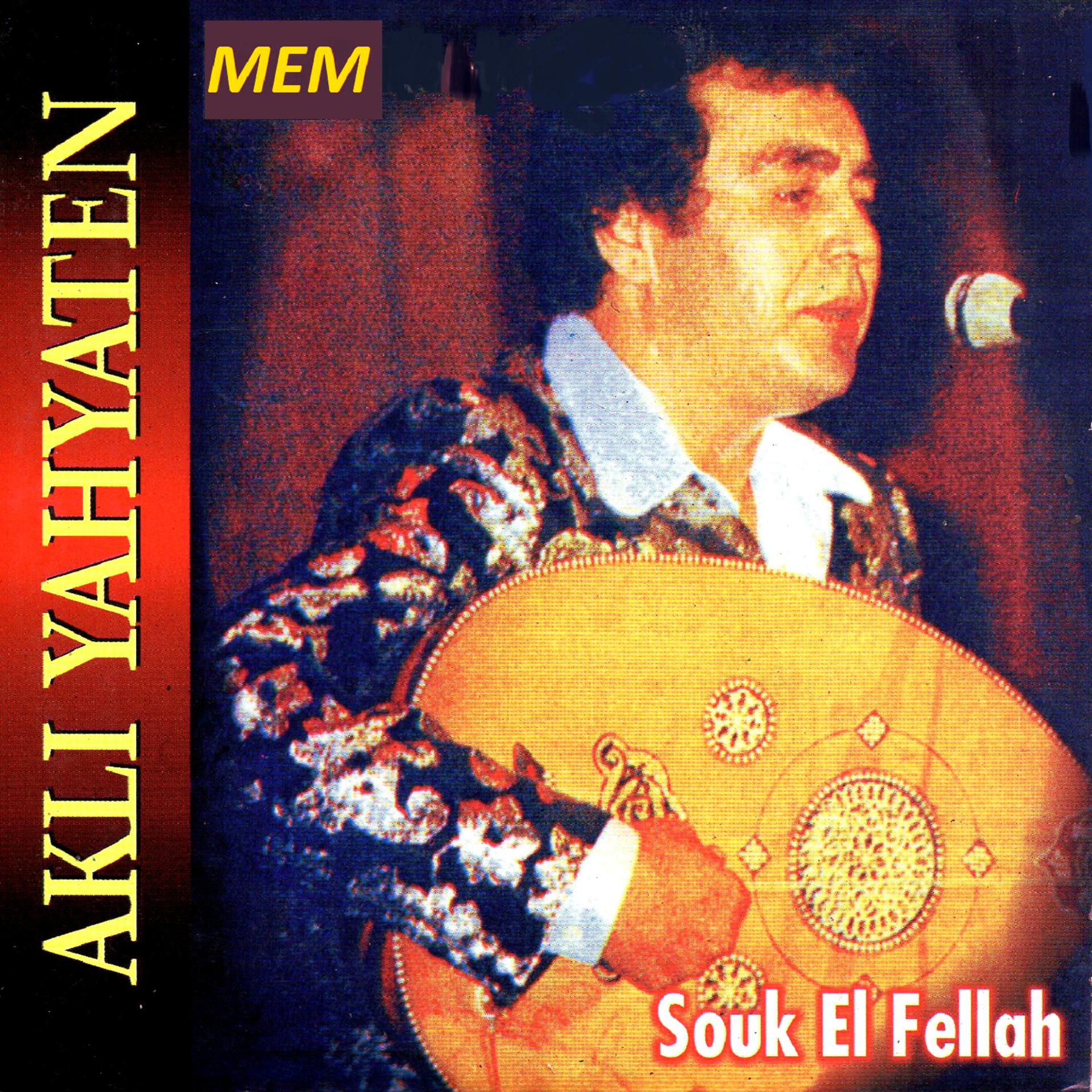 Постер альбома Souk el fellah