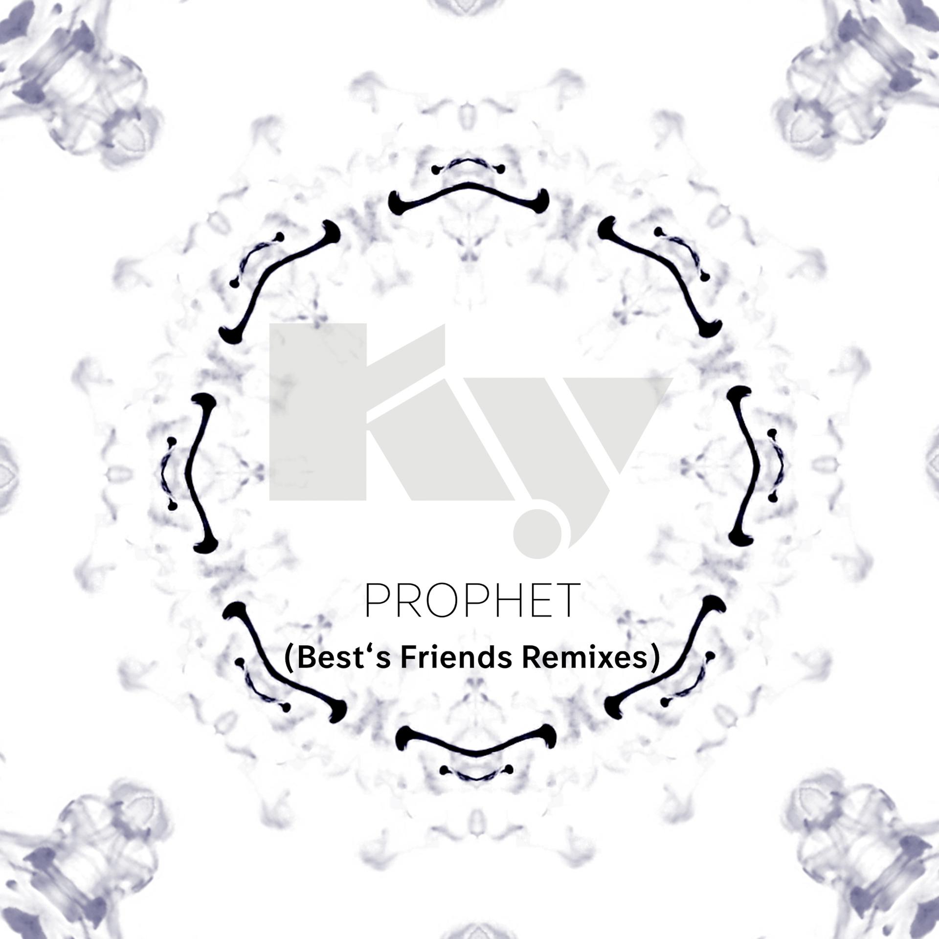 Постер альбома Prophet (Best's Friends Remixes)