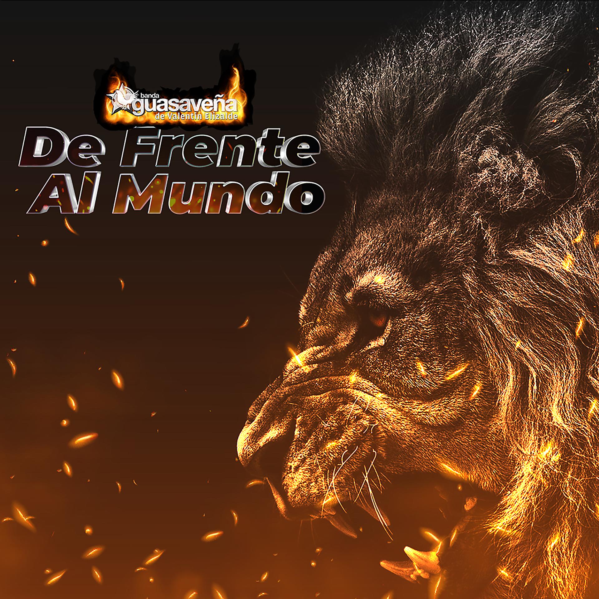 Постер альбома De Frente Al Mundo