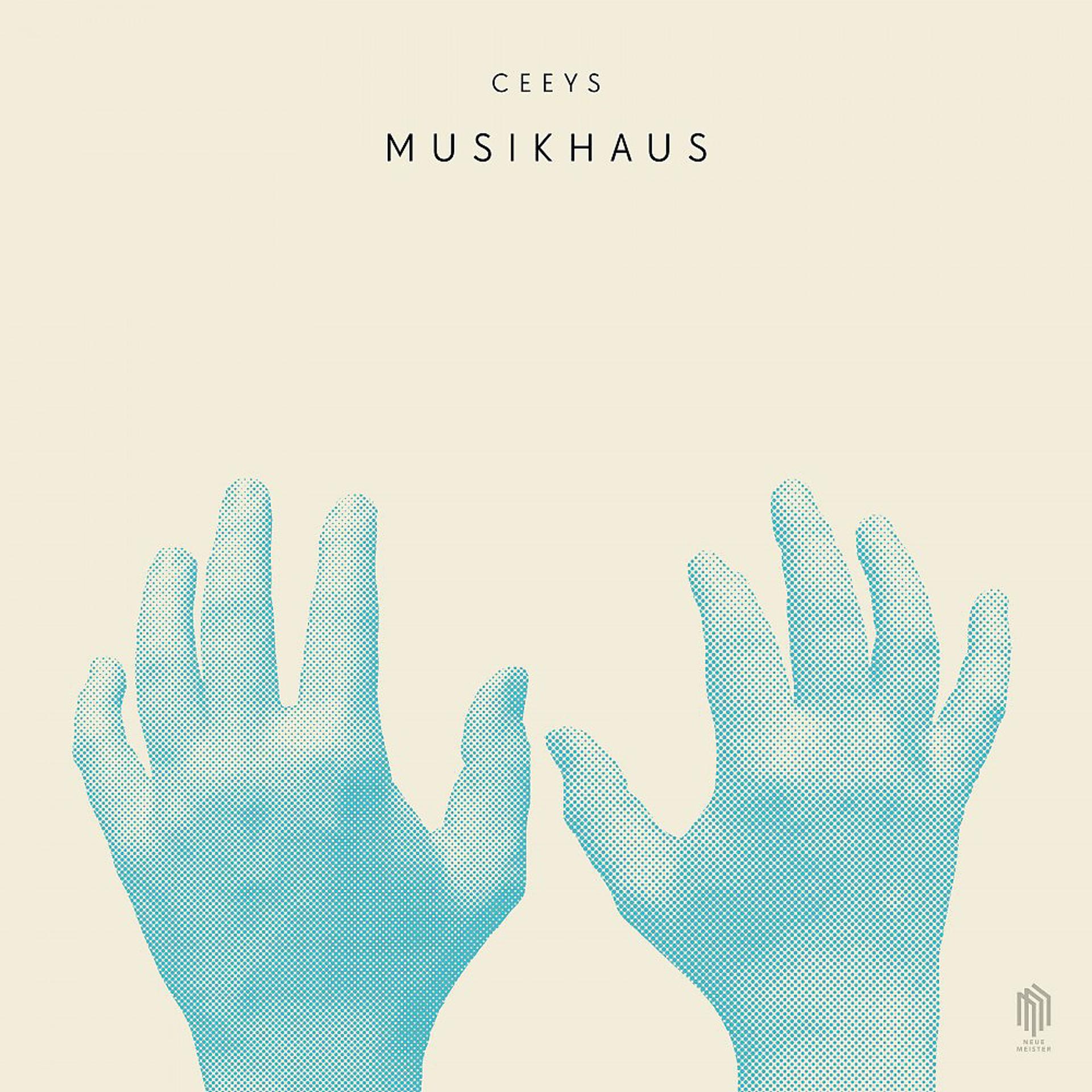 Постер альбома Musikhaus