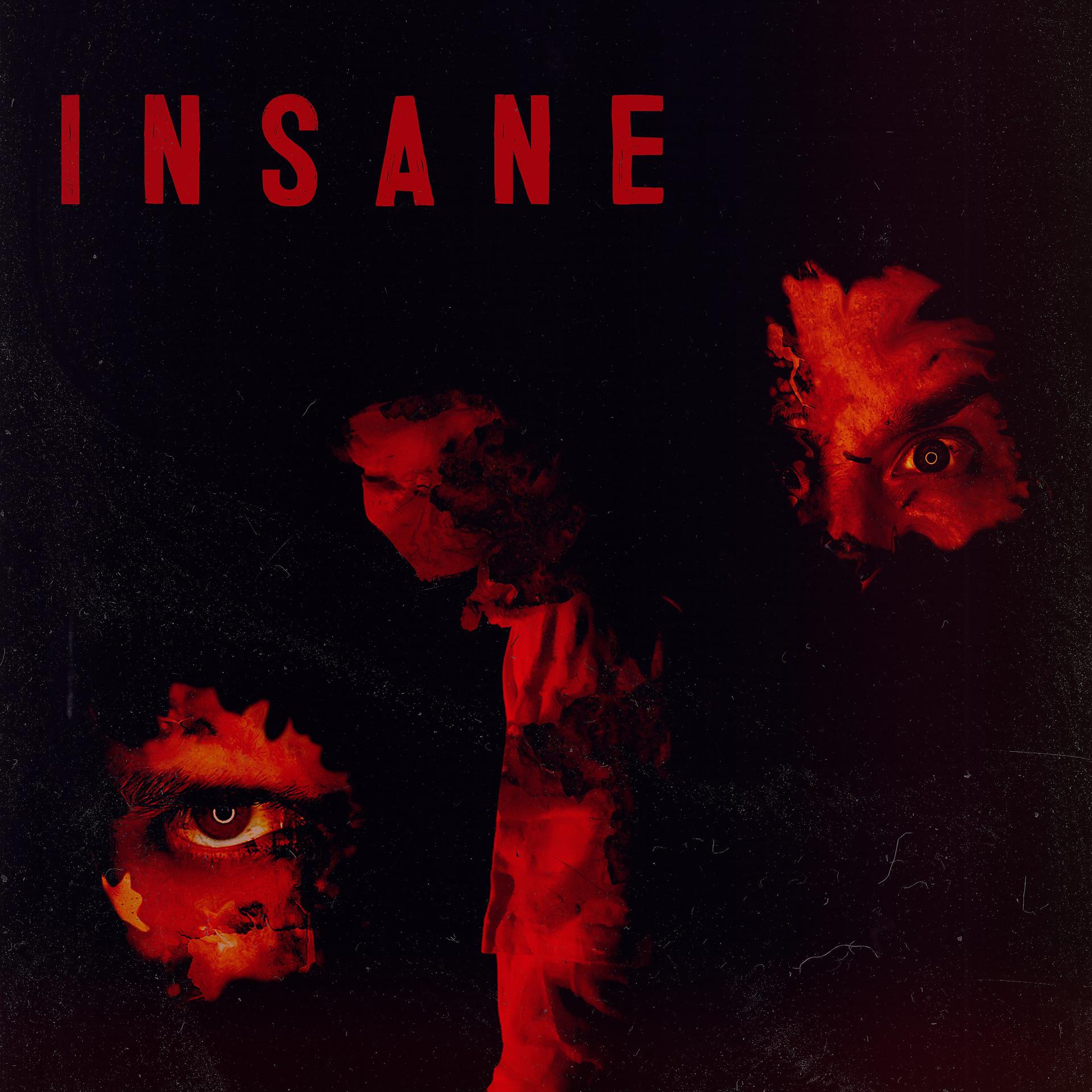Постер альбома Insane