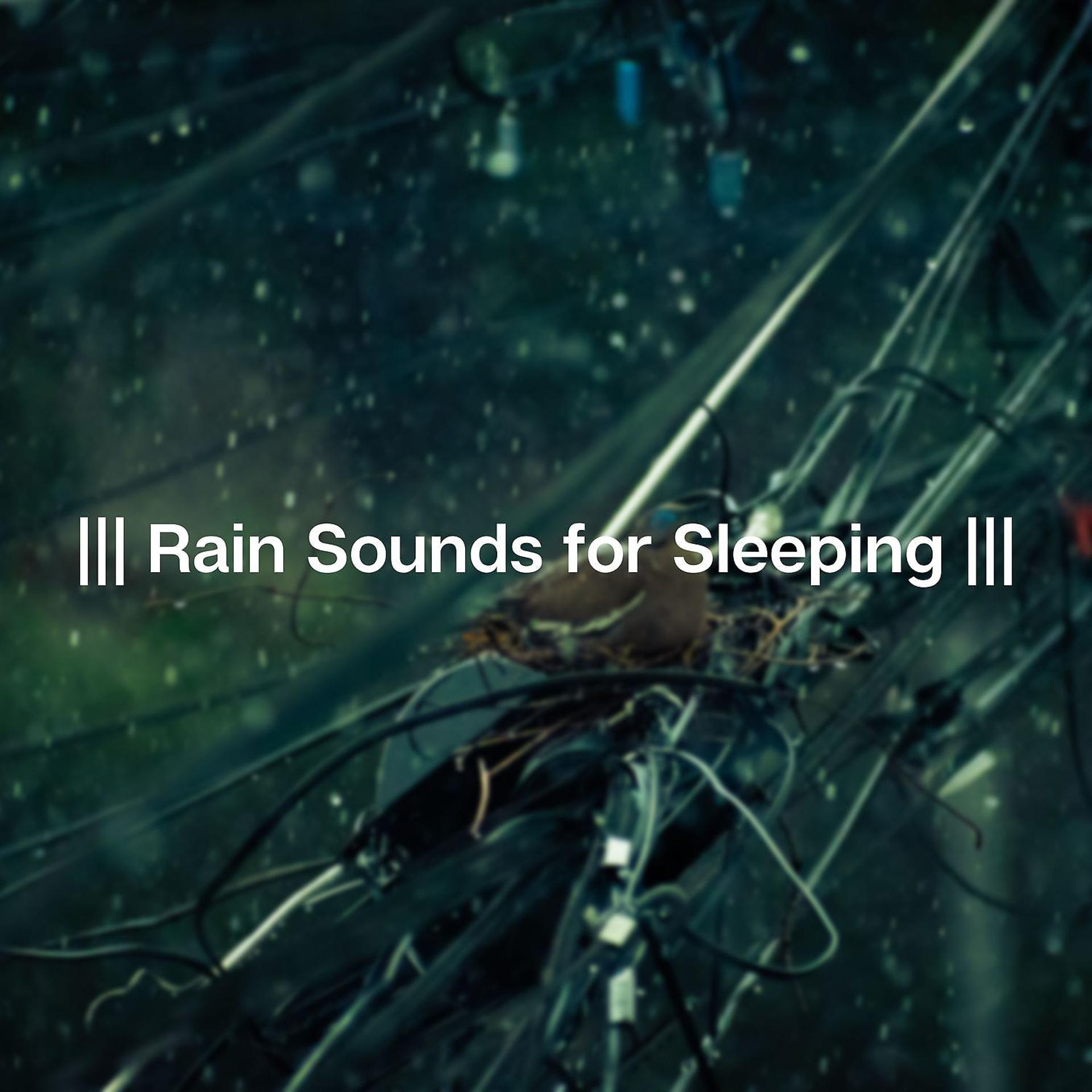 Постер альбома Rain Sounds for Sleeping