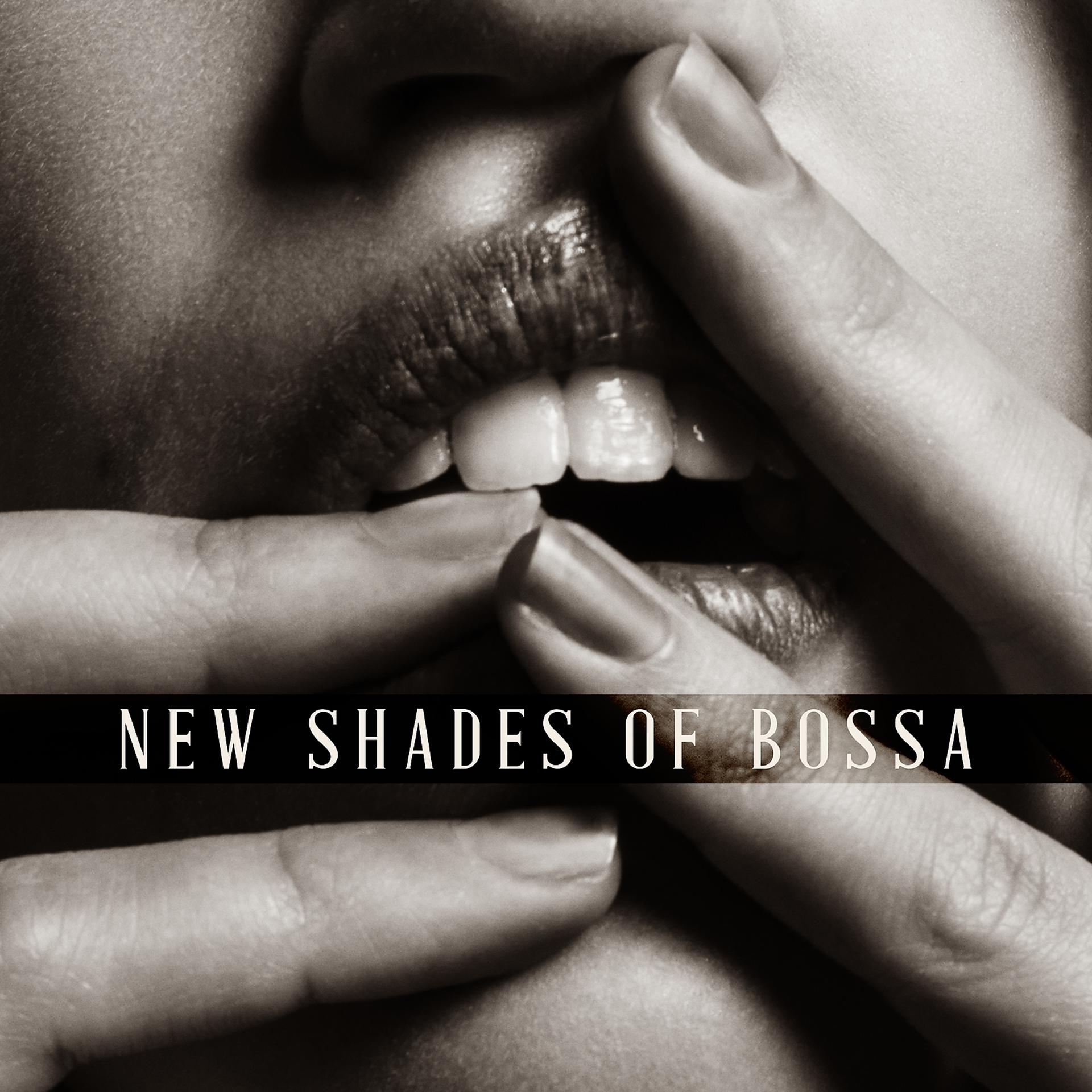Постер альбома New Shades of Bossa: Midnight Session with Jazz