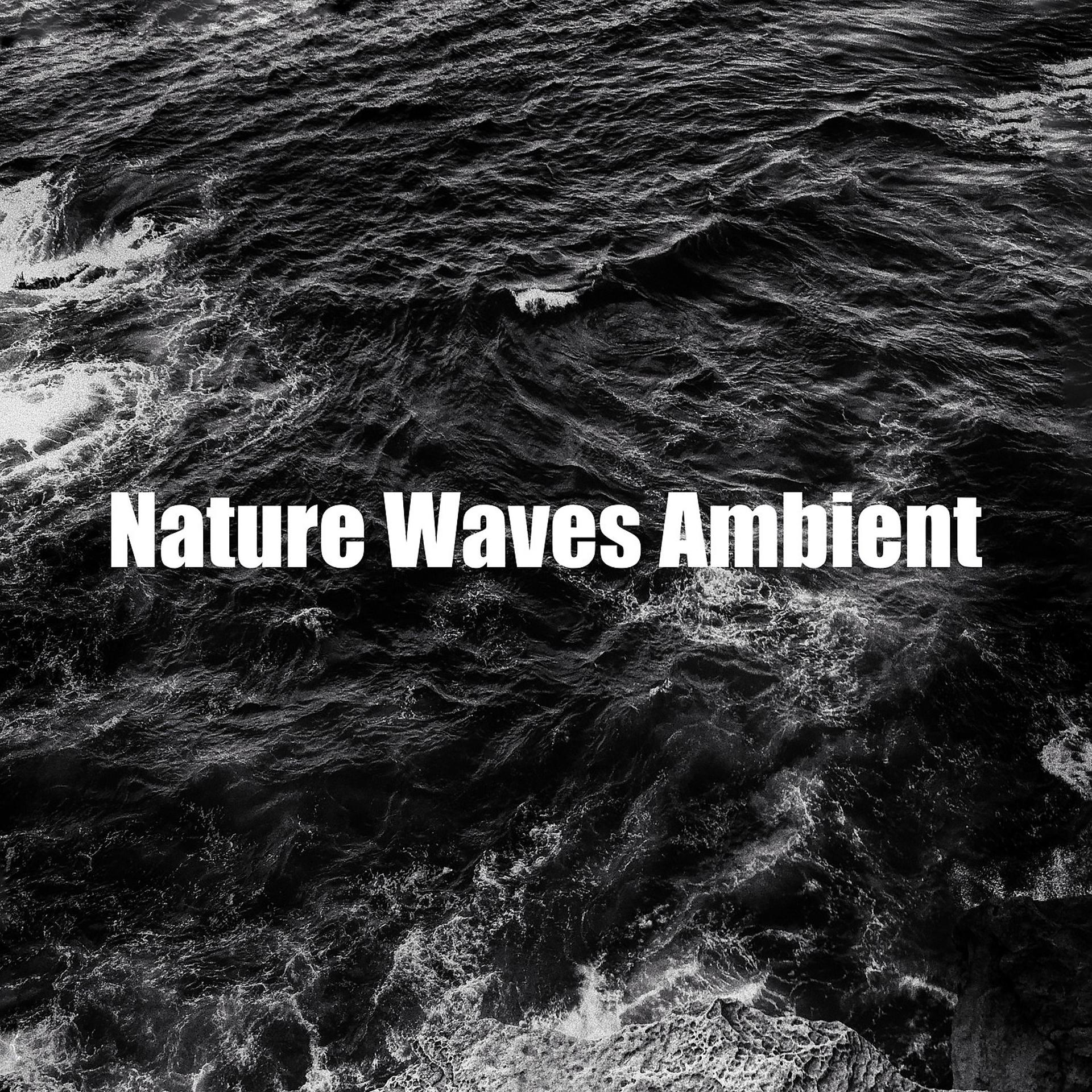 Постер альбома Nature Waves Ambient