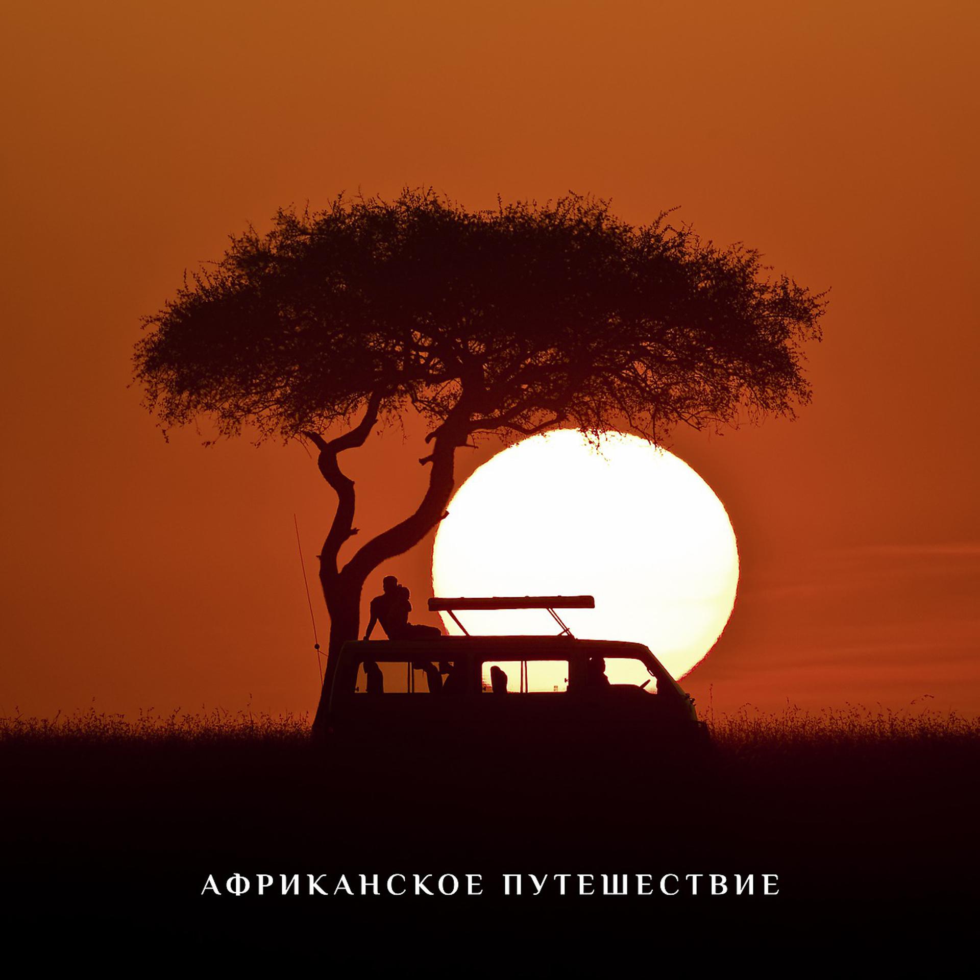 Постер альбома Африканское путешествие - Исцеляющая мелодия для свободы ума