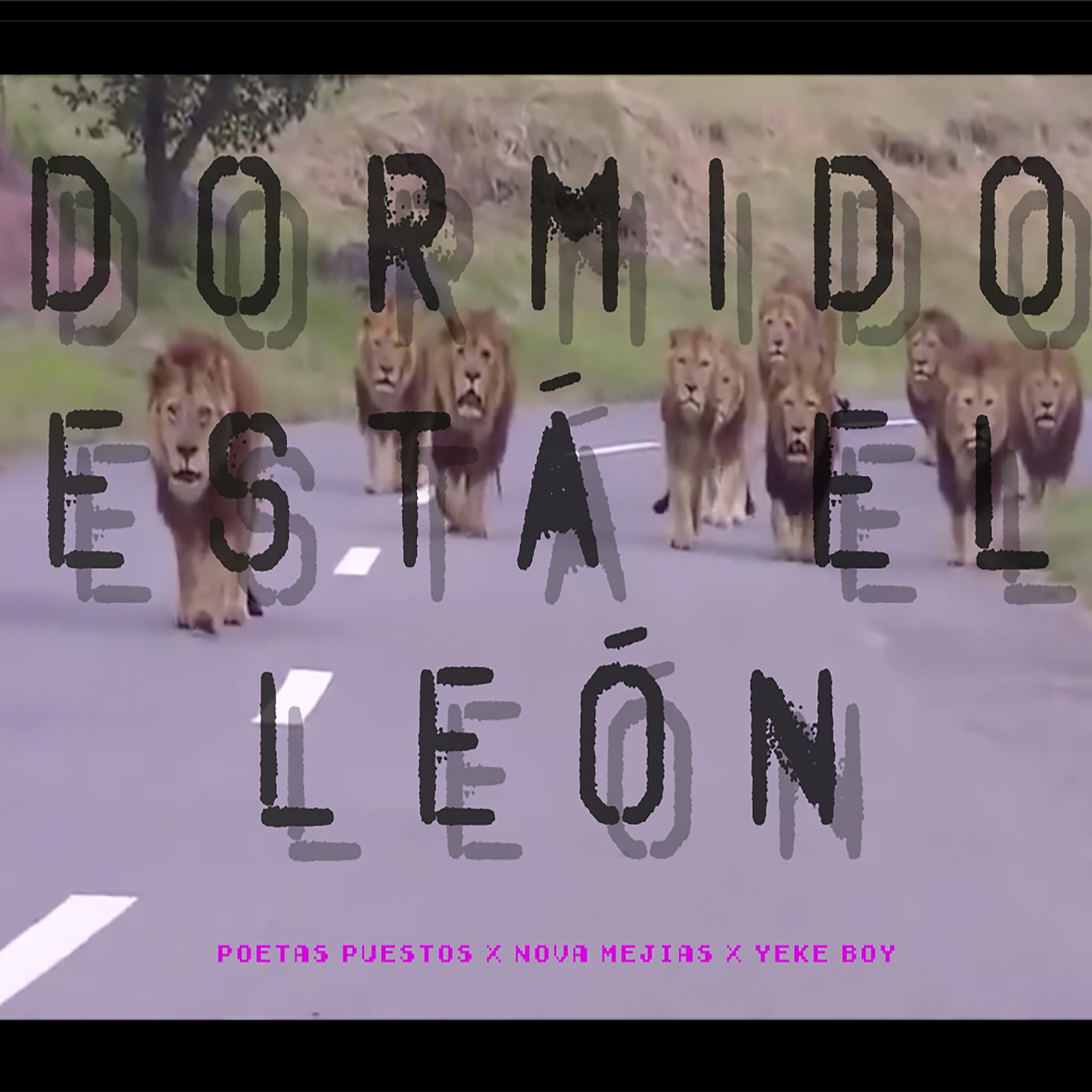 Постер альбома Dormido Está el León