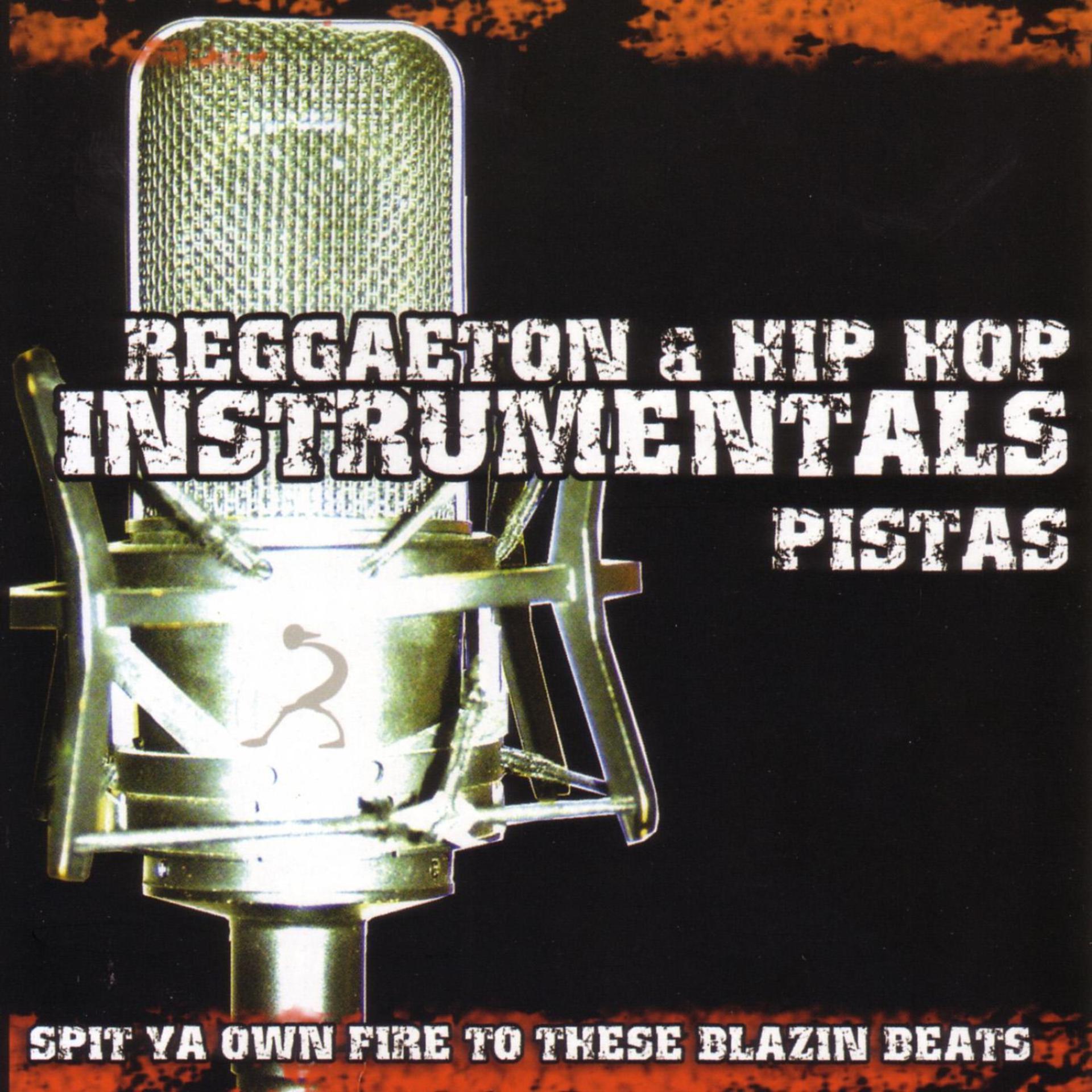 Постер альбома Reggaeton & Hip Hop Instrumentals Pistas