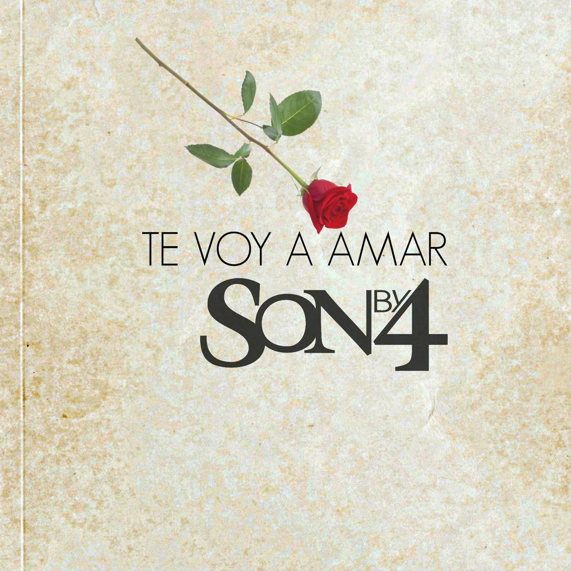 Постер альбома Te Voy a Amar (Salsa Version)