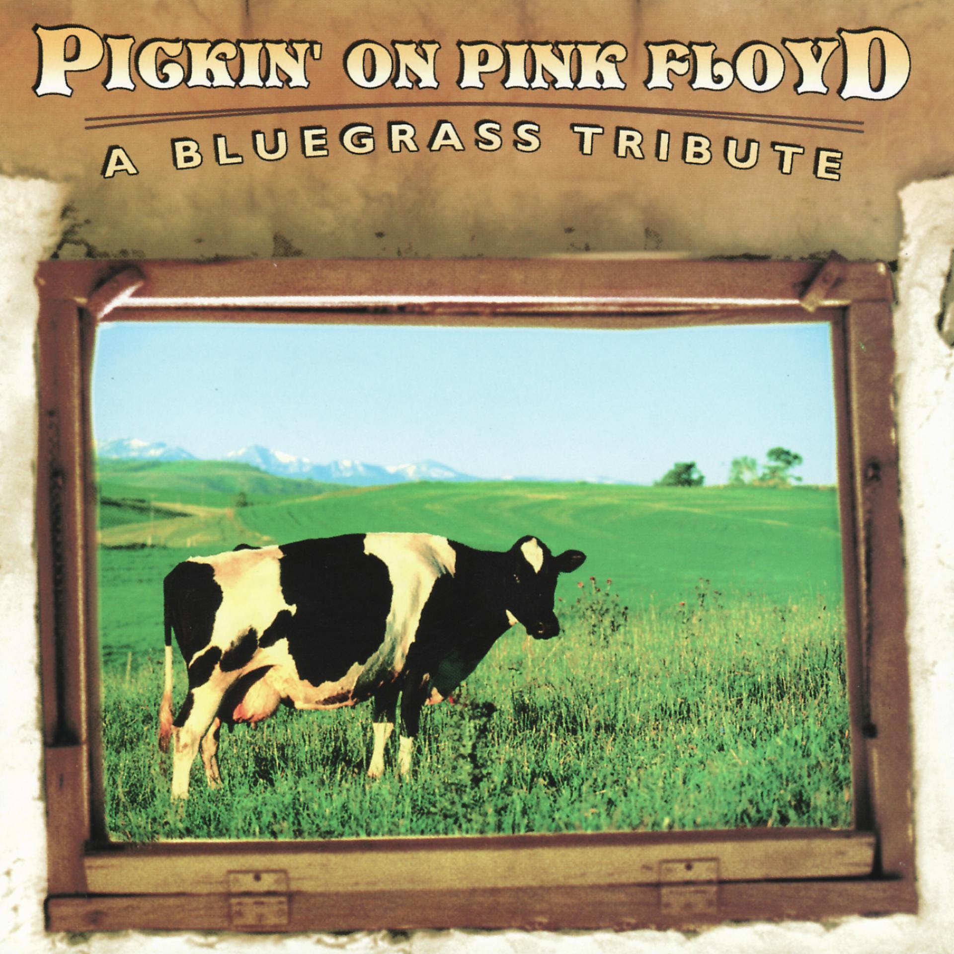 Постер альбома Pickin' On Pink Floyd: A Bluegrass Tribute