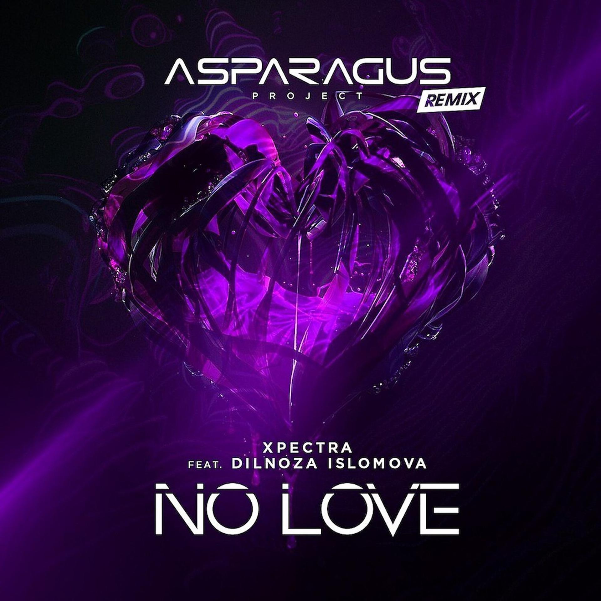 Постер альбома No Love (Remix)