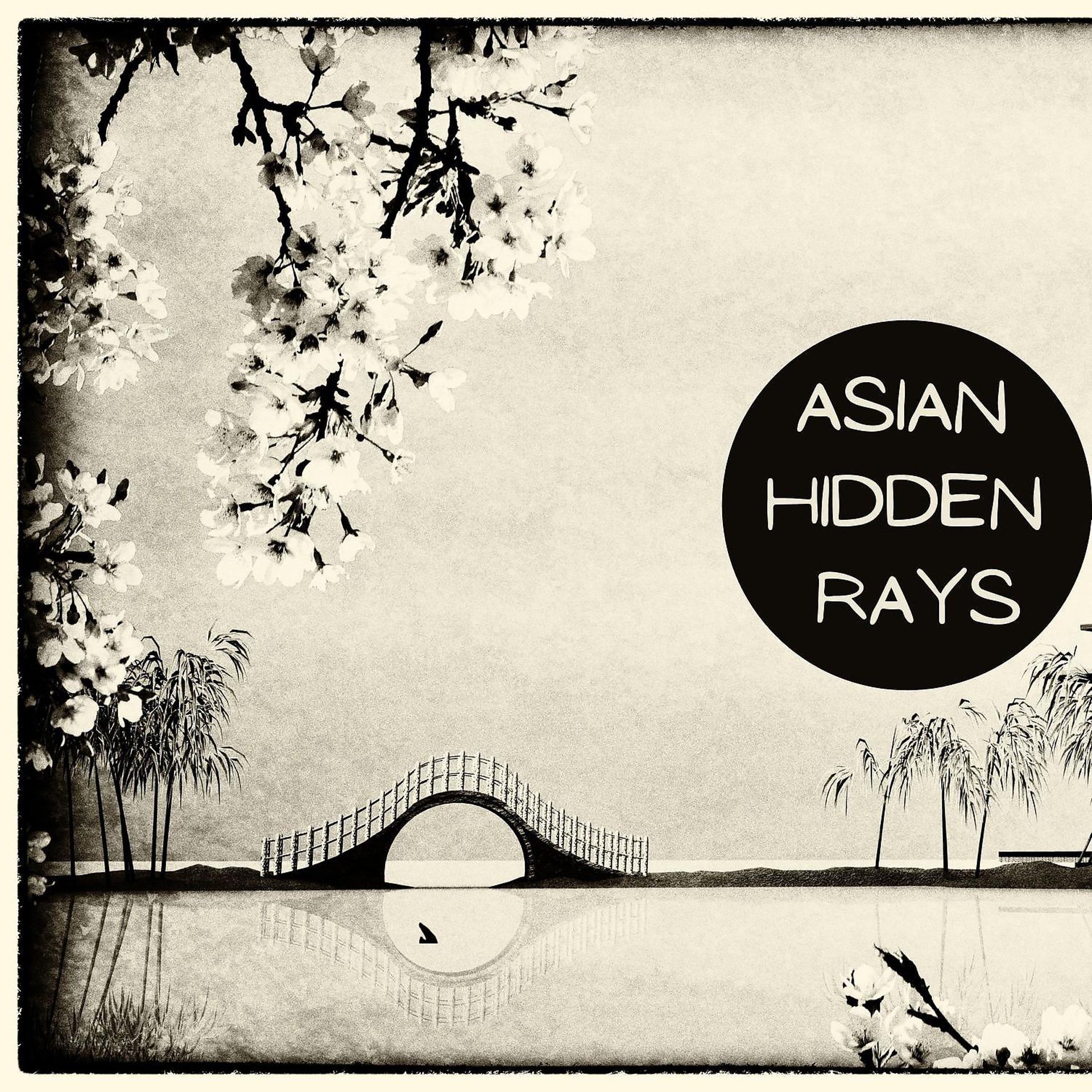 Постер альбома Asian Hidden Rays