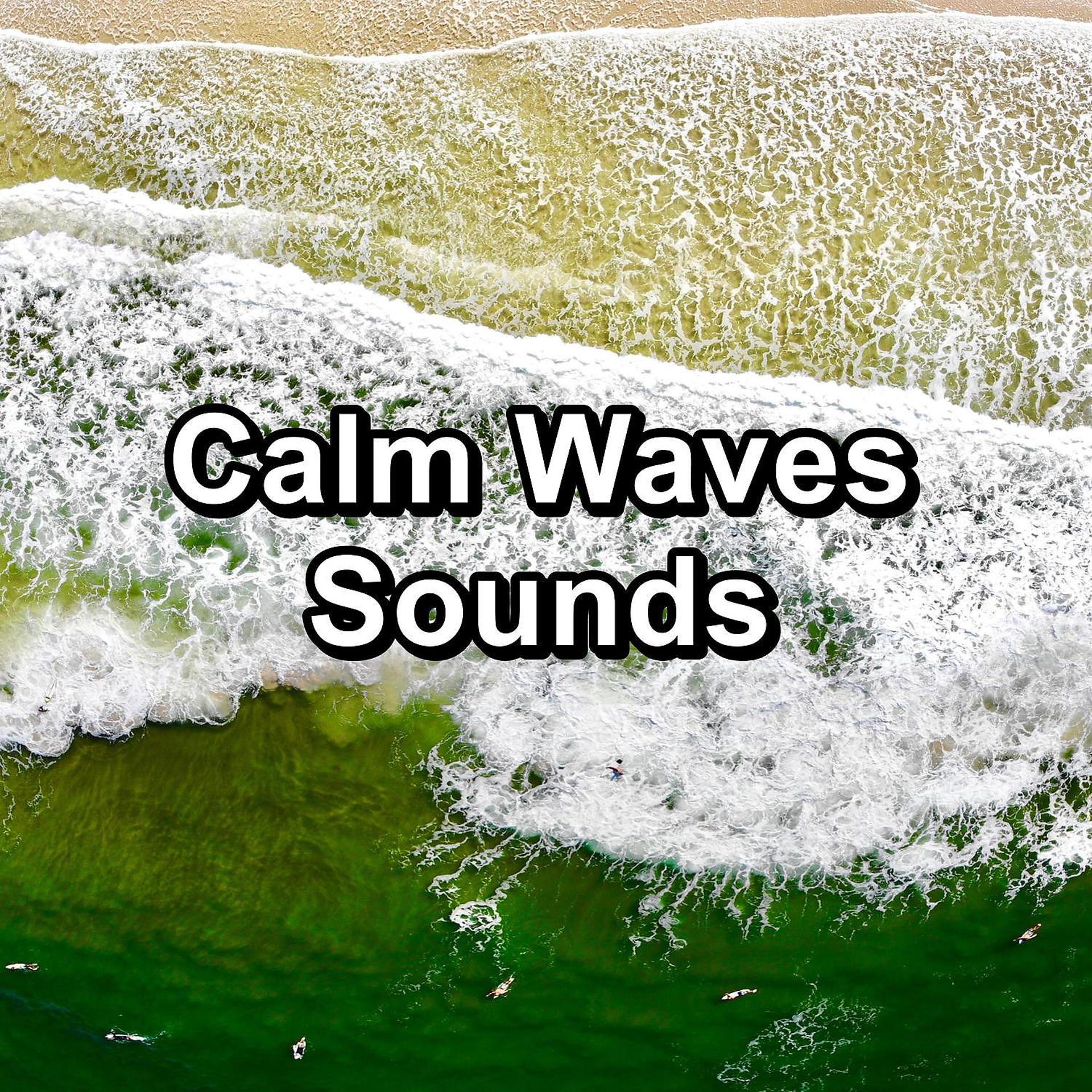 Постер альбома Calm Waves Sounds
