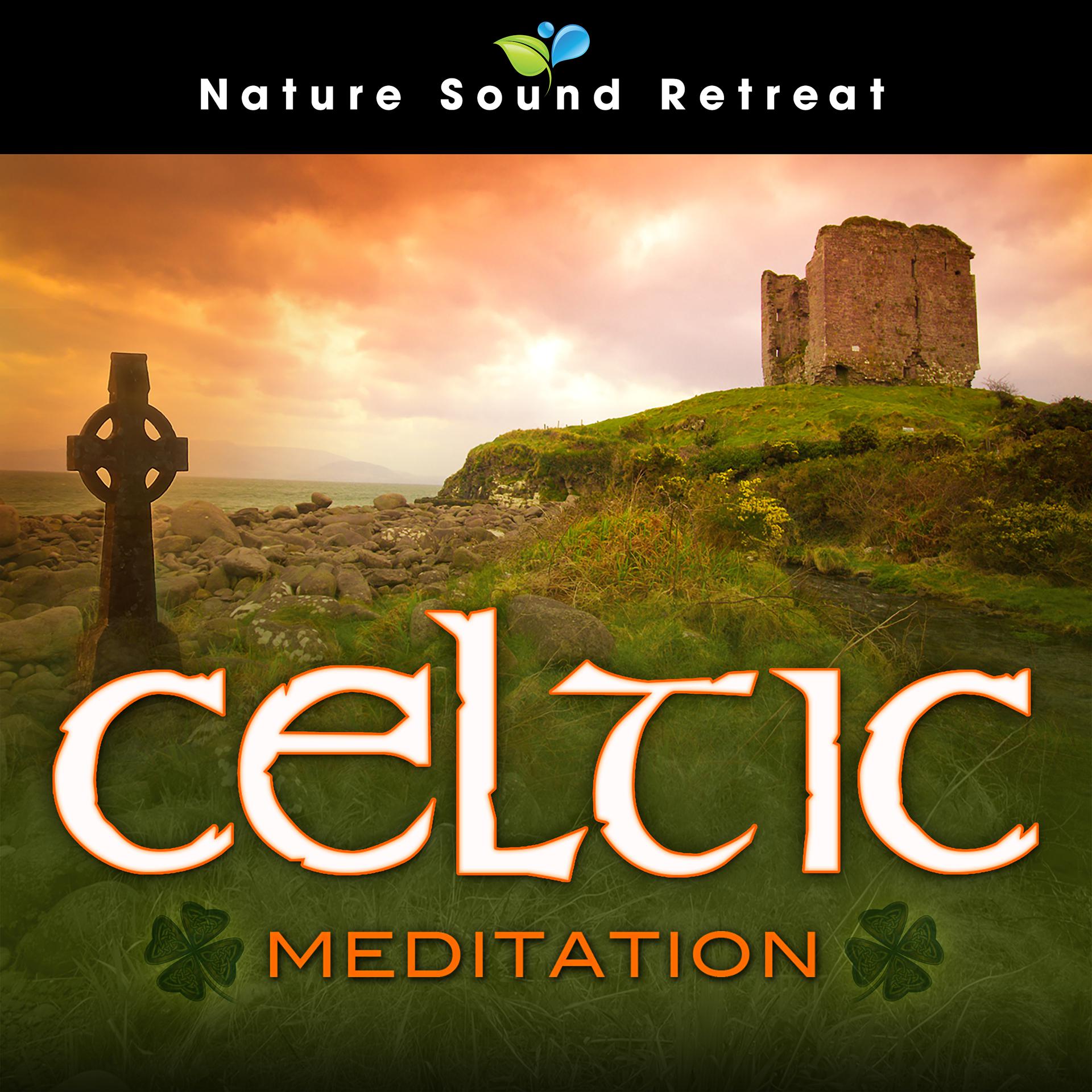 Постер альбома Celtic Meditation