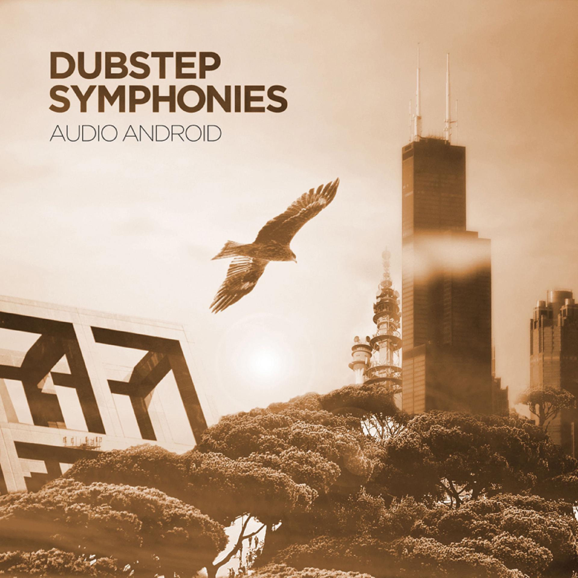 Постер альбома Dubstep Symphonies
