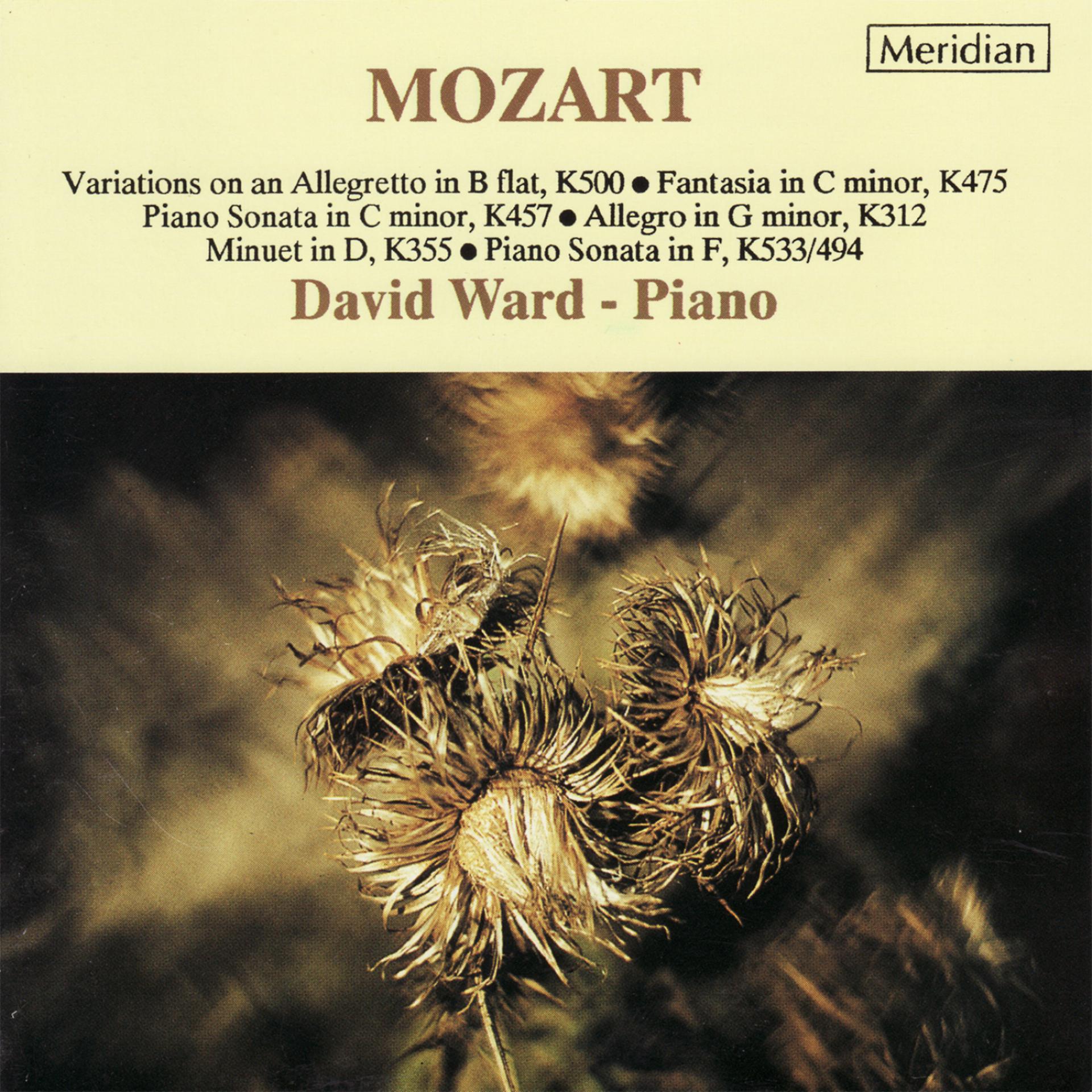 Постер альбома Mozart: Piano Music