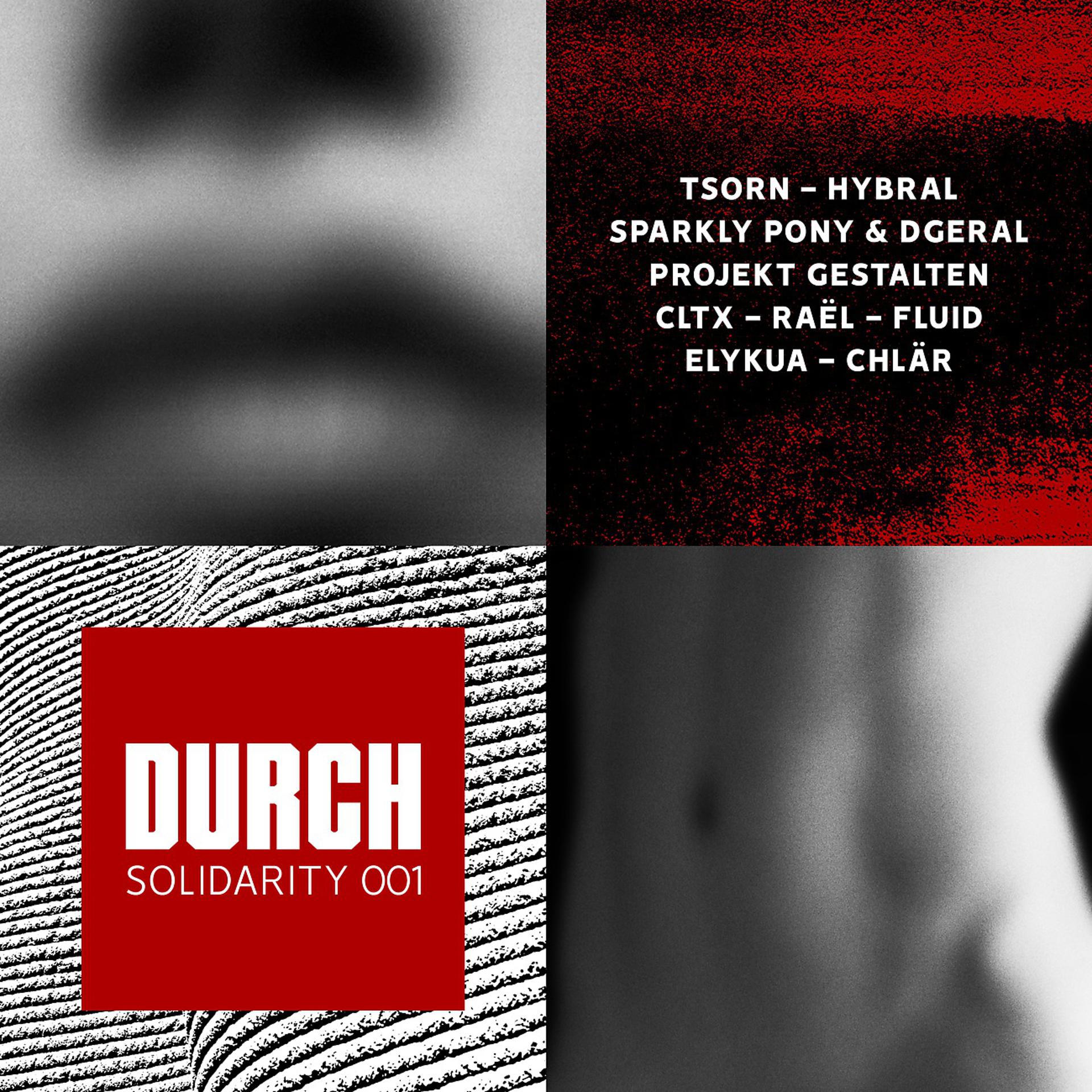 Постер альбома DURCH​[​digital​]​SOLIDARITY 001