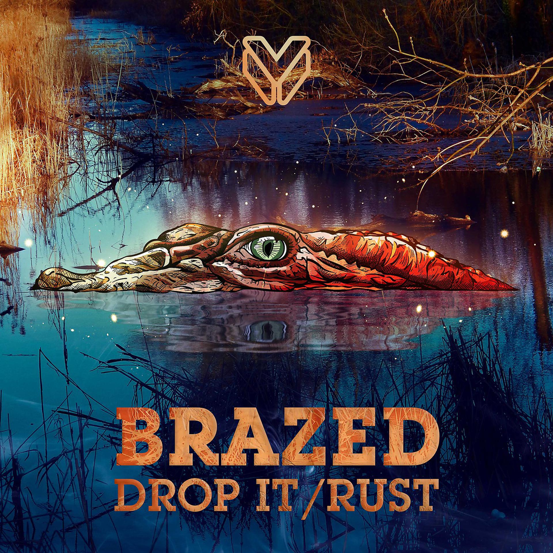 Постер альбома Drop It / Rust