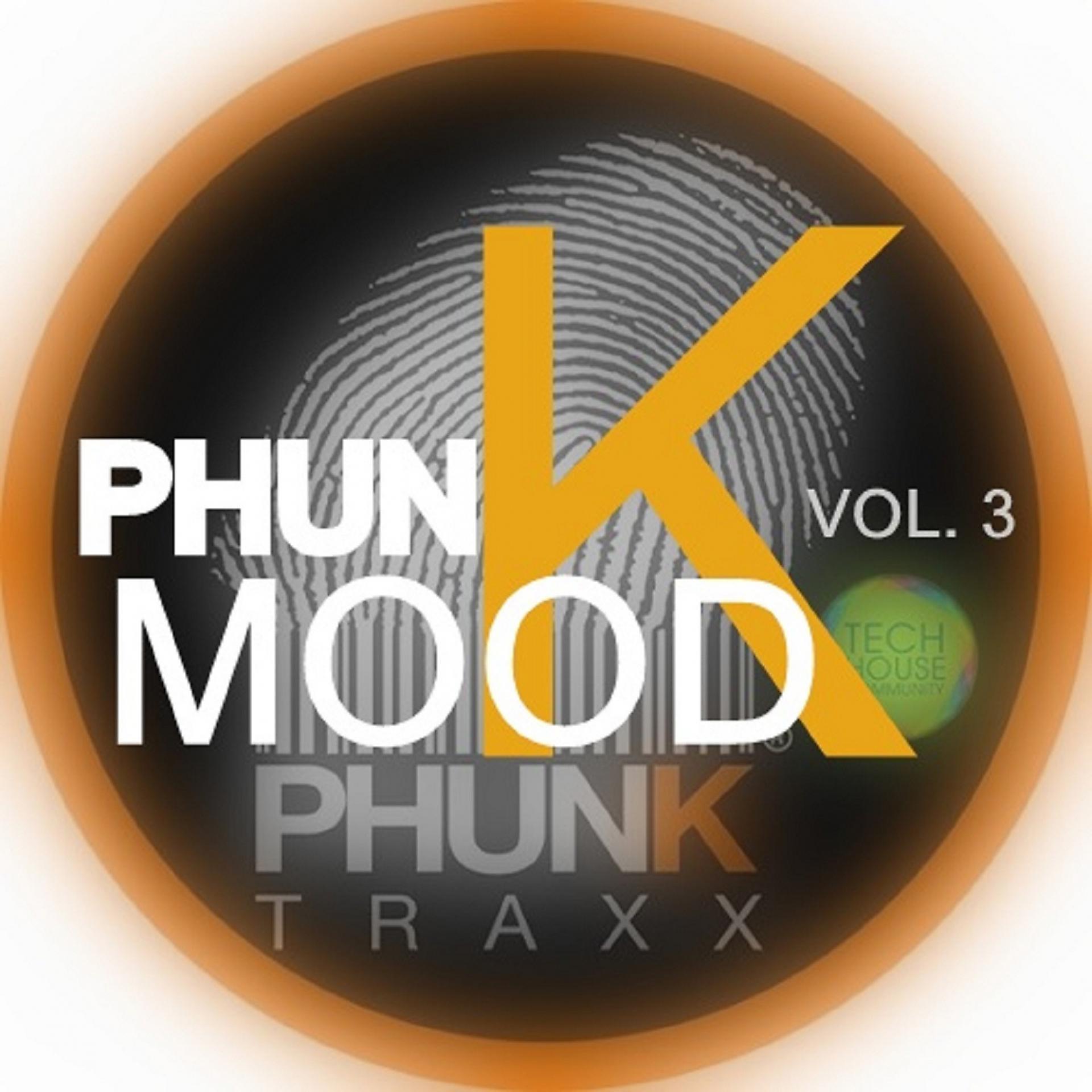 Постер альбома PHUNKMOOD, Vol. 3 (Tech House Community)
