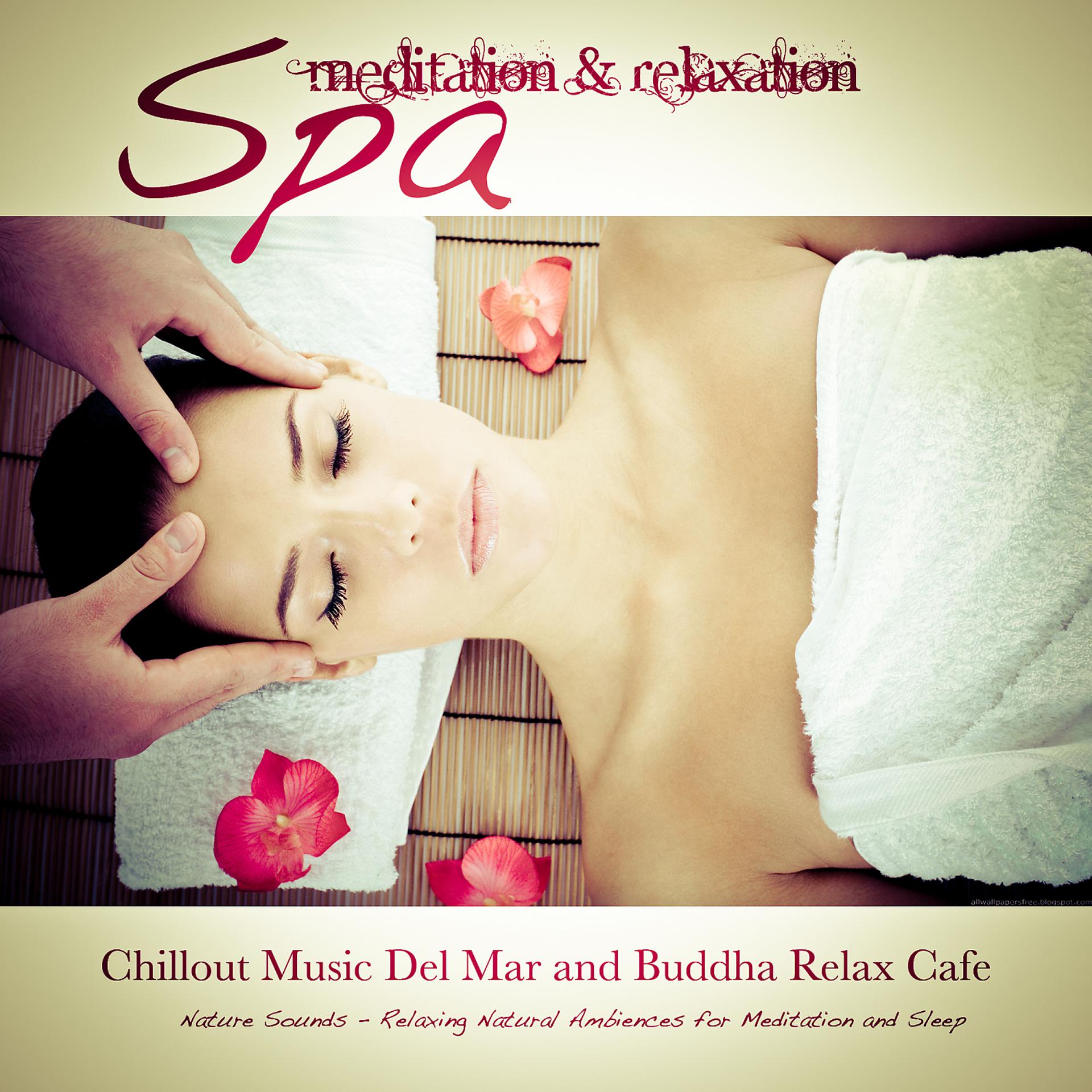 Постер альбома Spa: Meditation & Relaxation (Relaxing Natural Ambiences for Meditation and Sleep) [Chillout Music Del Mar and Buddha Relax Cafe]
