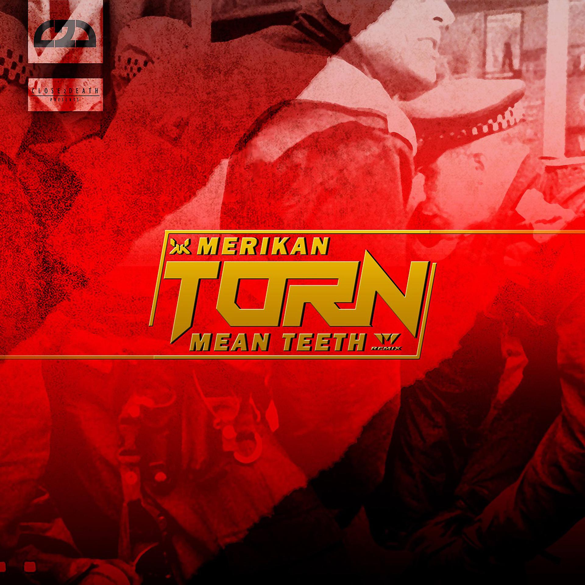 Постер альбома Torn (Mean Teeth Remix)