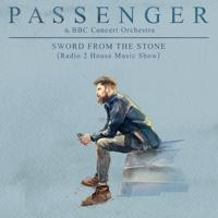 Постер альбома Sword from the Stone (Radio 2 House Music Show)