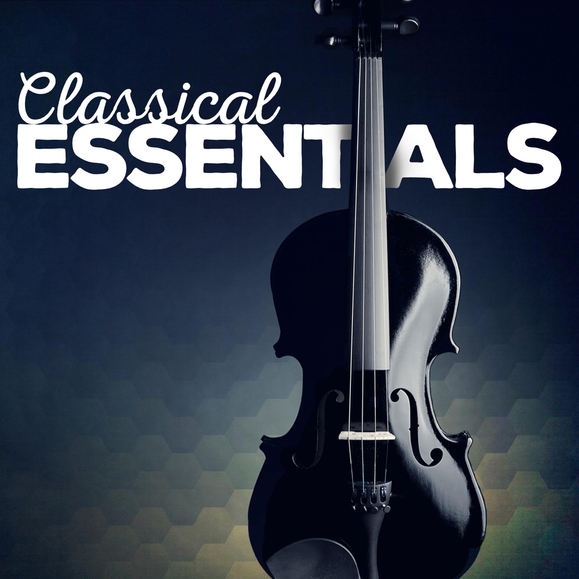 Постер альбома Classical Essentials