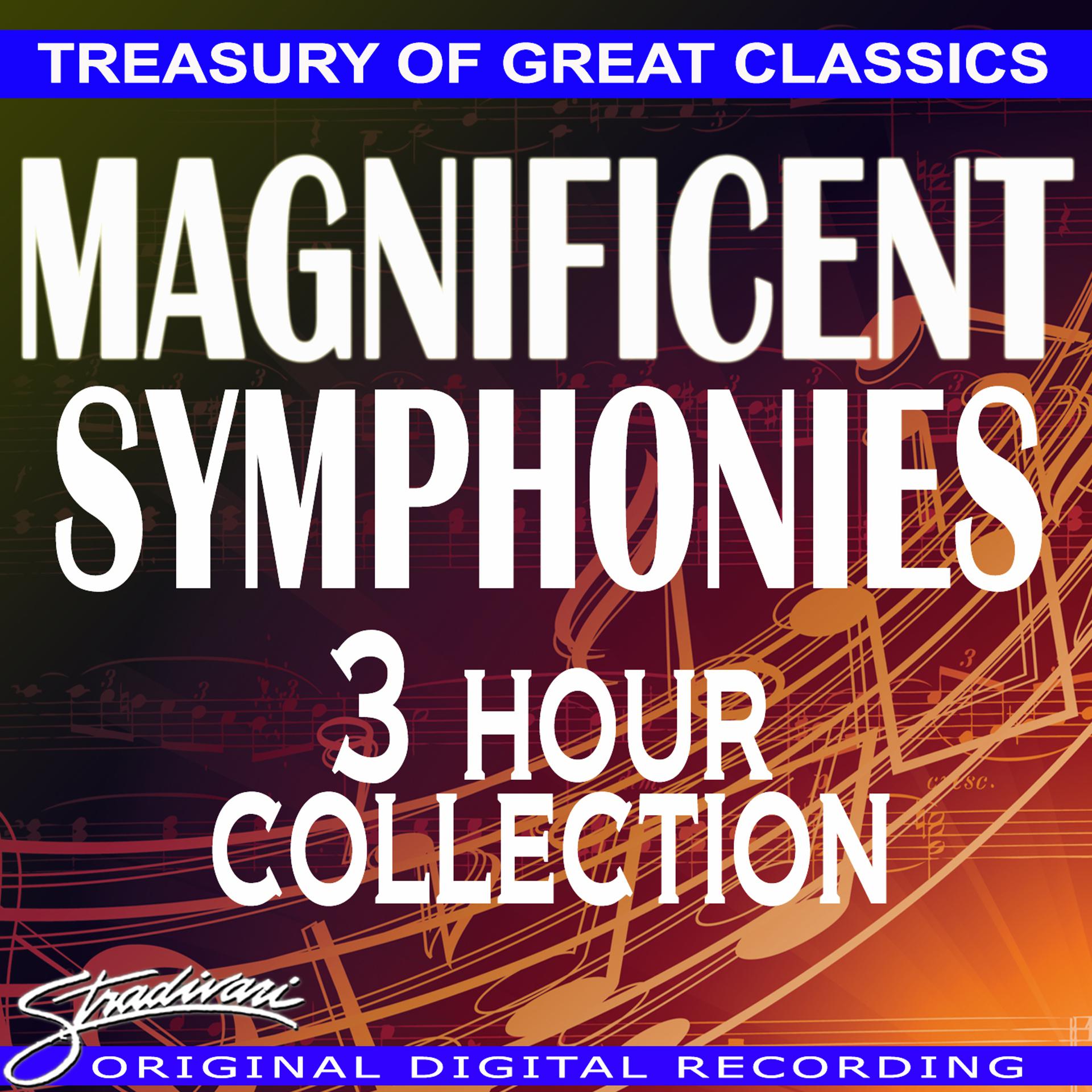 Постер альбома Magnificent Symphonies