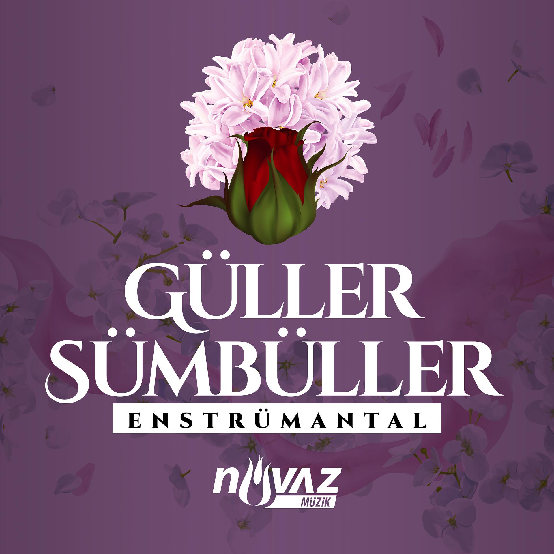 Постер альбома Güller Sümbüller (Enstrümantal)