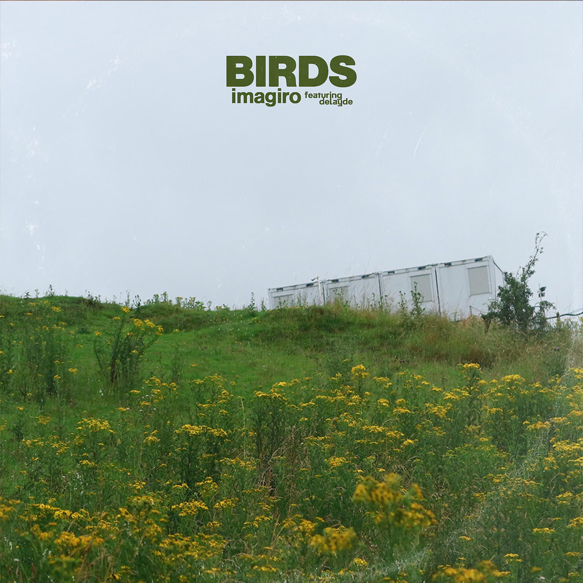 Постер альбома Birds