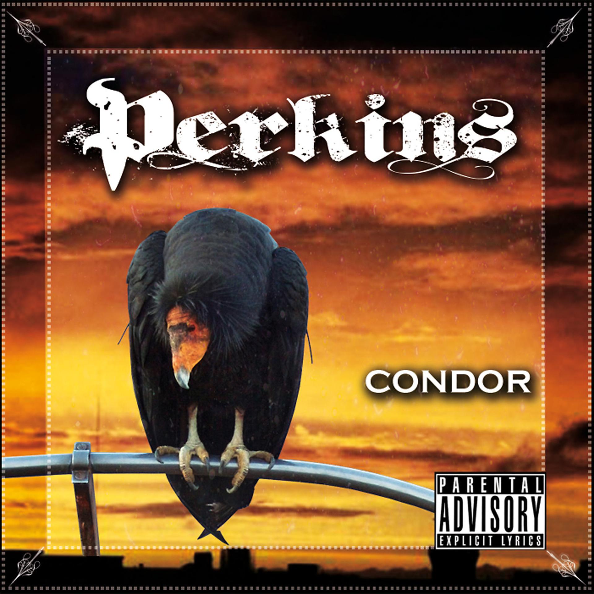 Постер альбома Condor