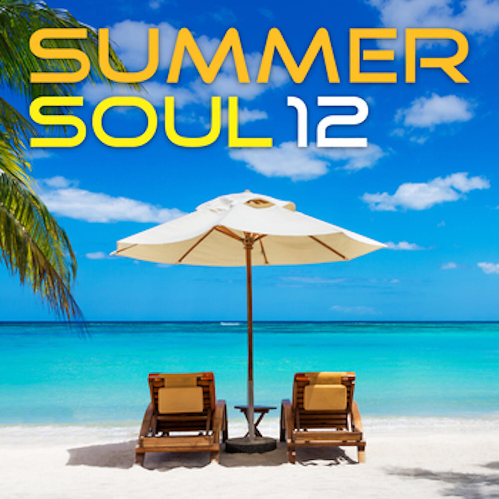 Постер альбома Summer Soul 12