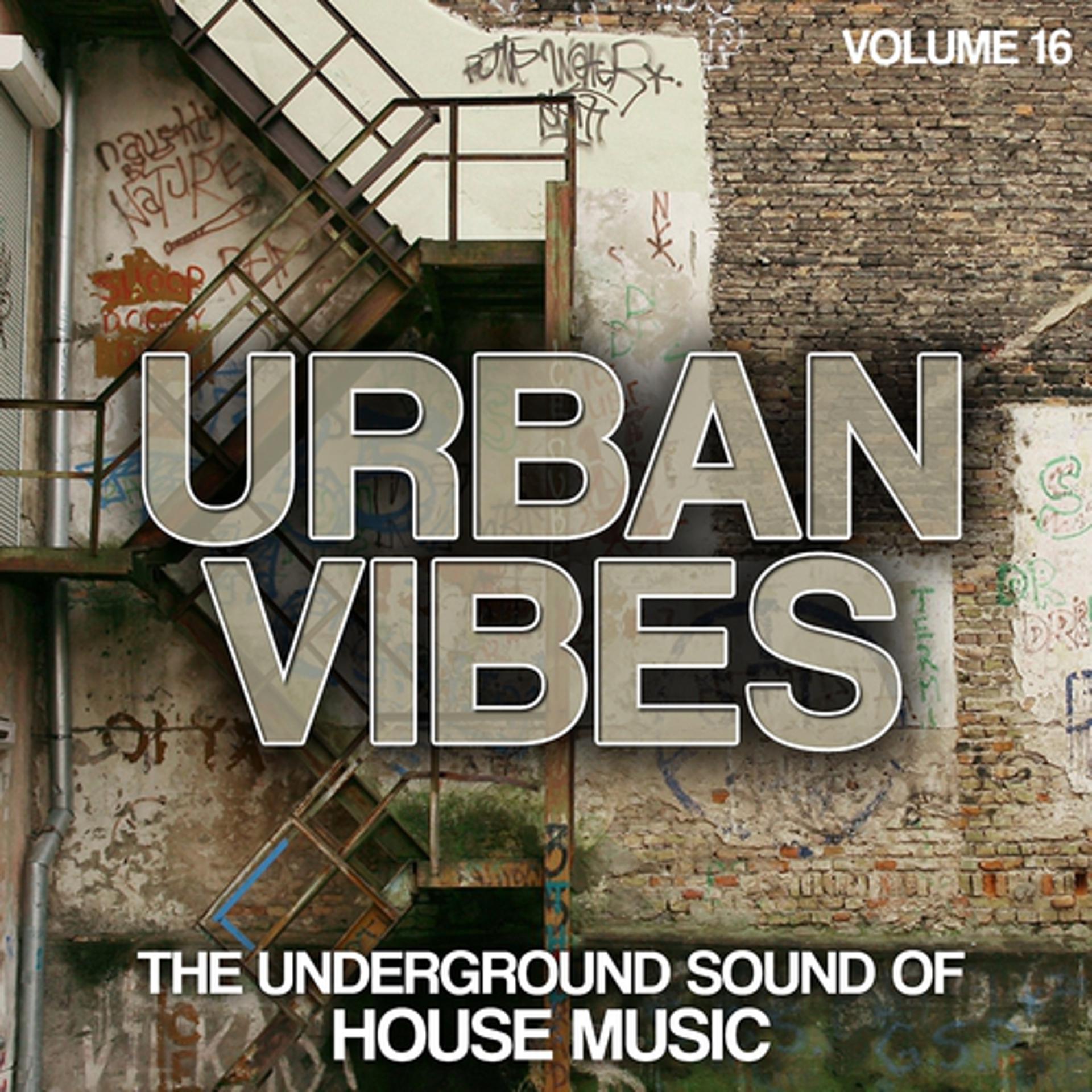 Постер альбома Urban Vibes - The Underground Sound Of House Music, Vol. 16