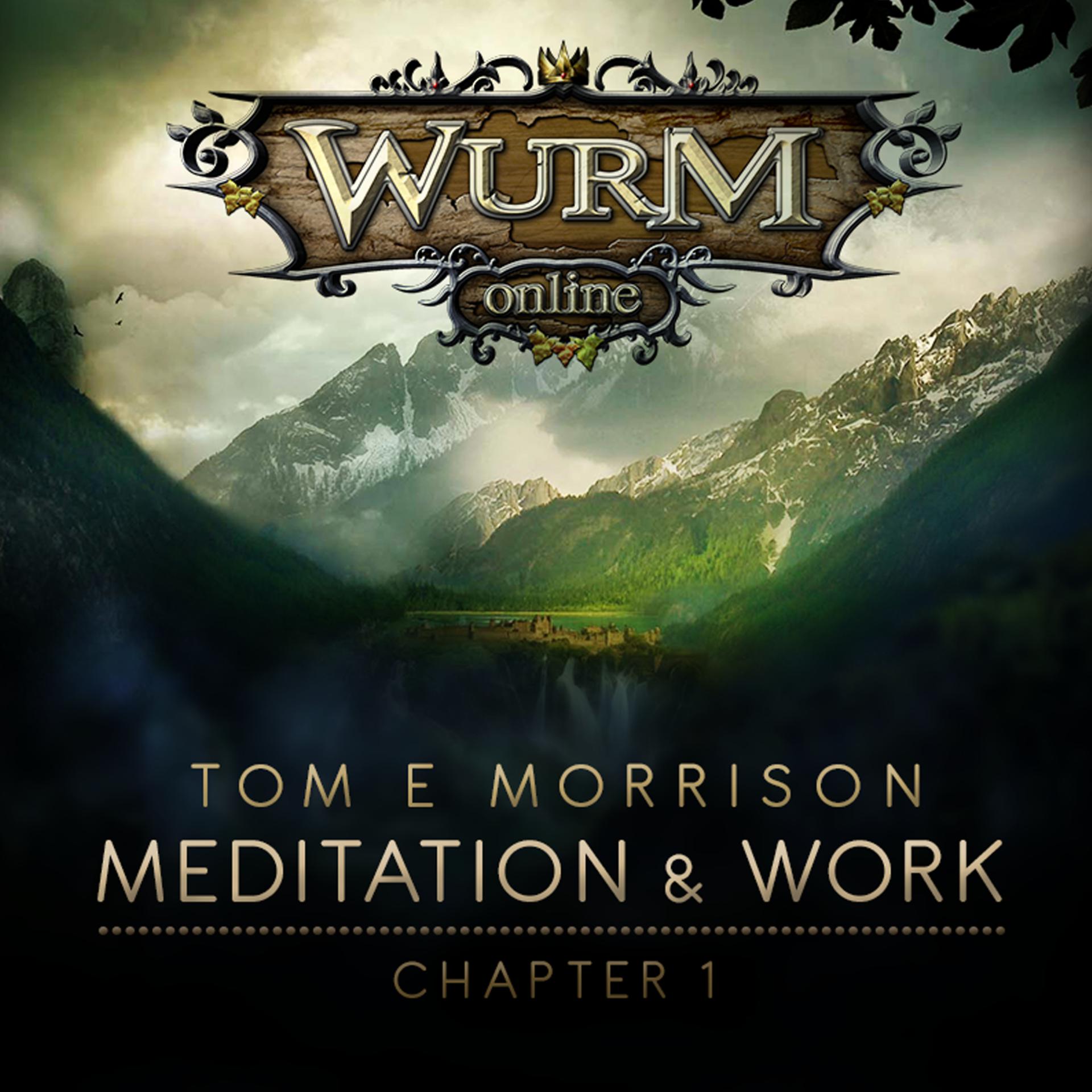 Постер альбома Wurm Online - Meditation & Work: Chapter 1