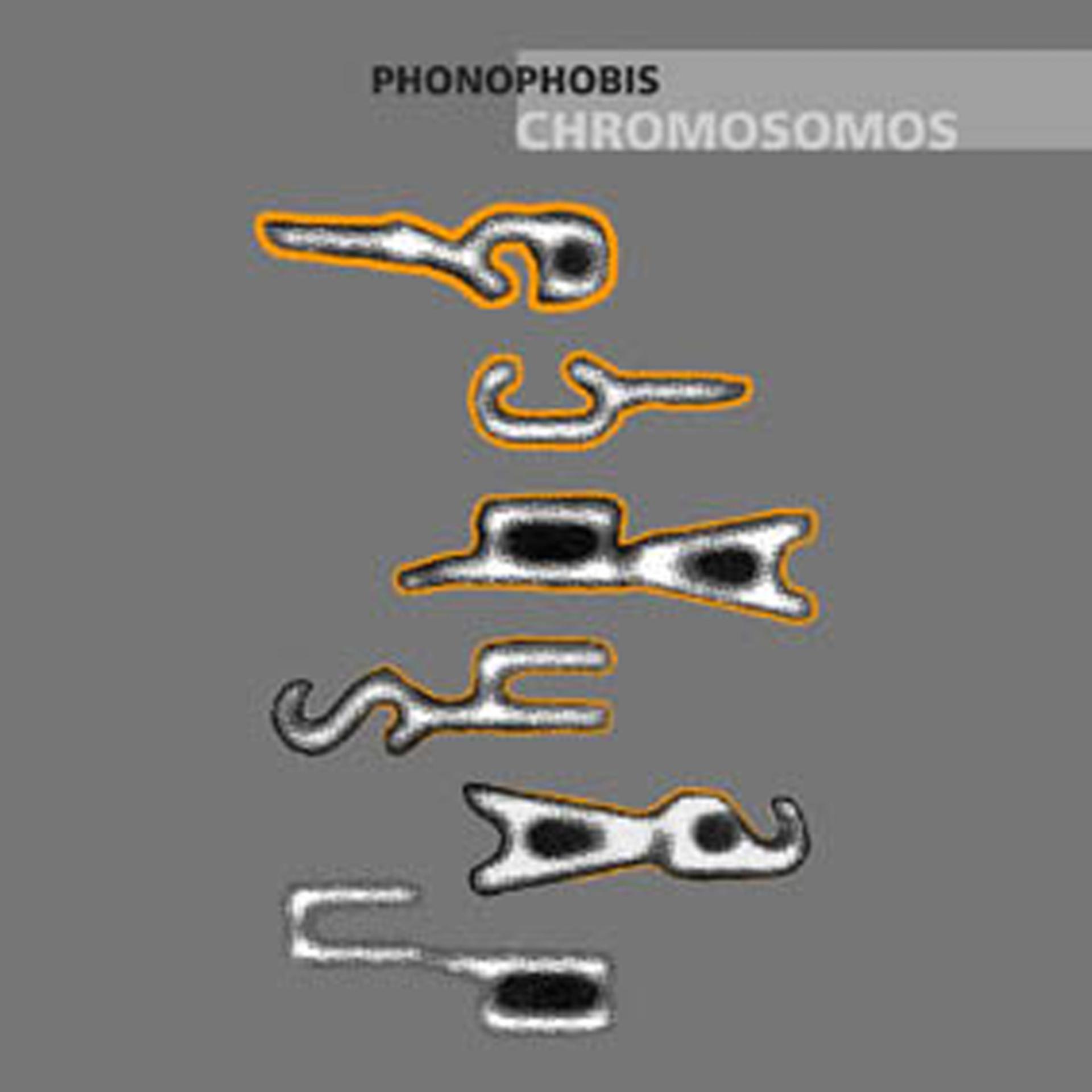 Постер альбома Phonophobis
