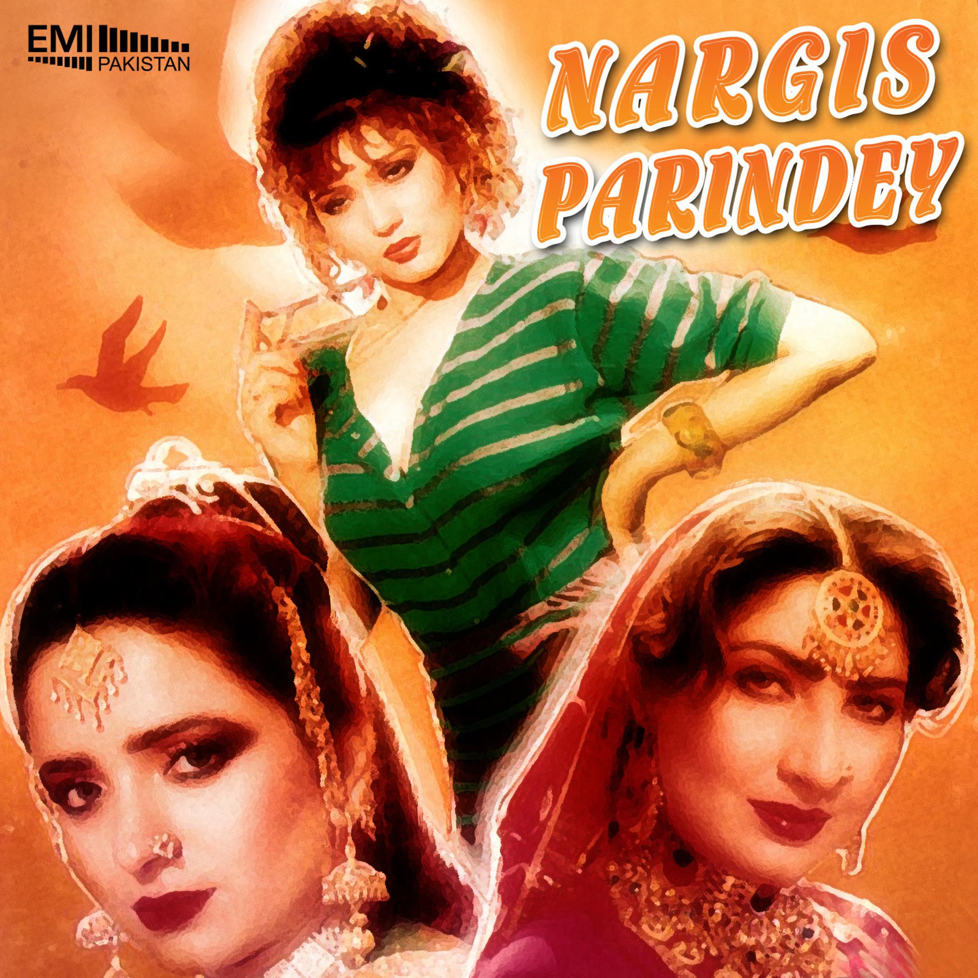Постер альбома Parindey / Nargis