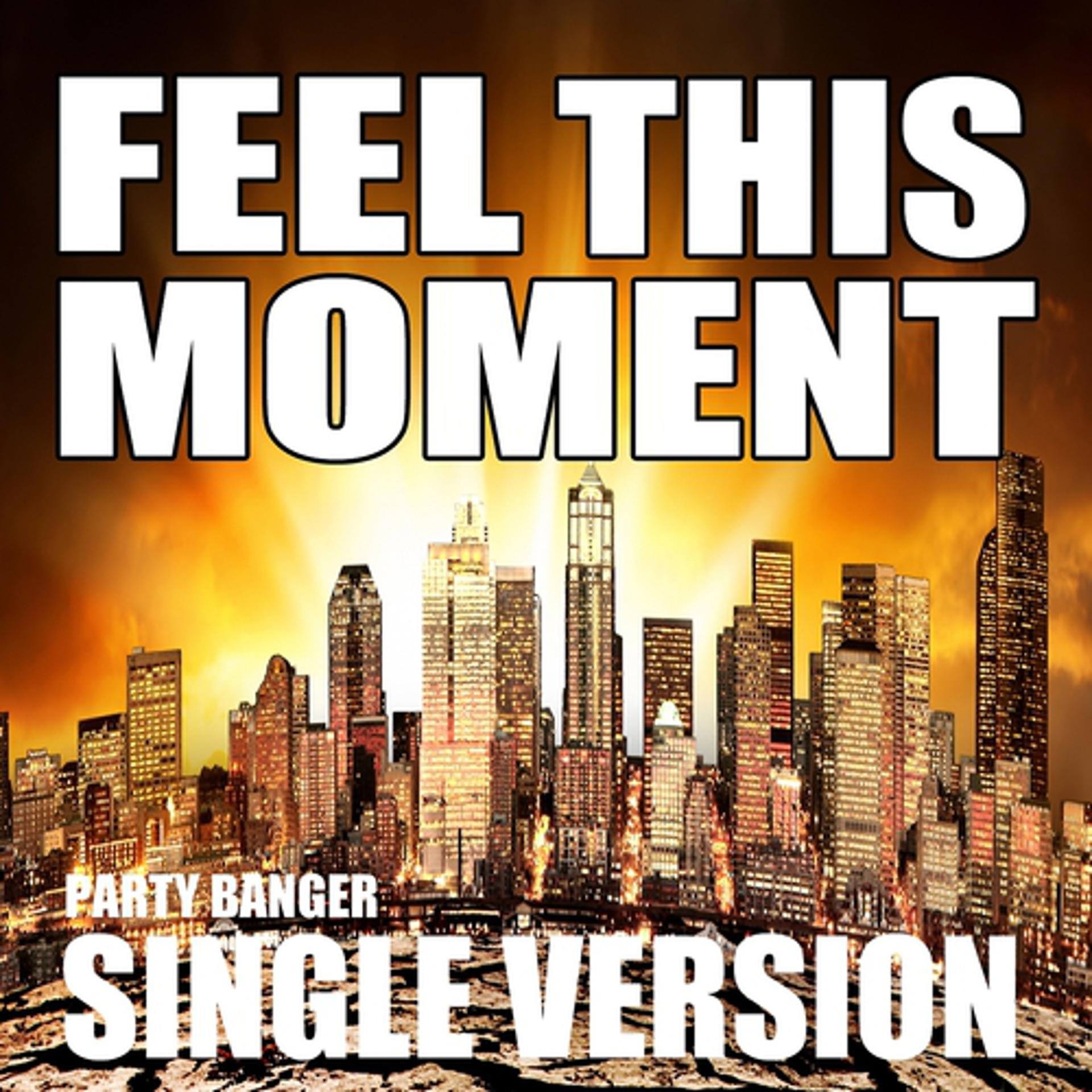 Постер альбома Feel This Moment (Radio Version)