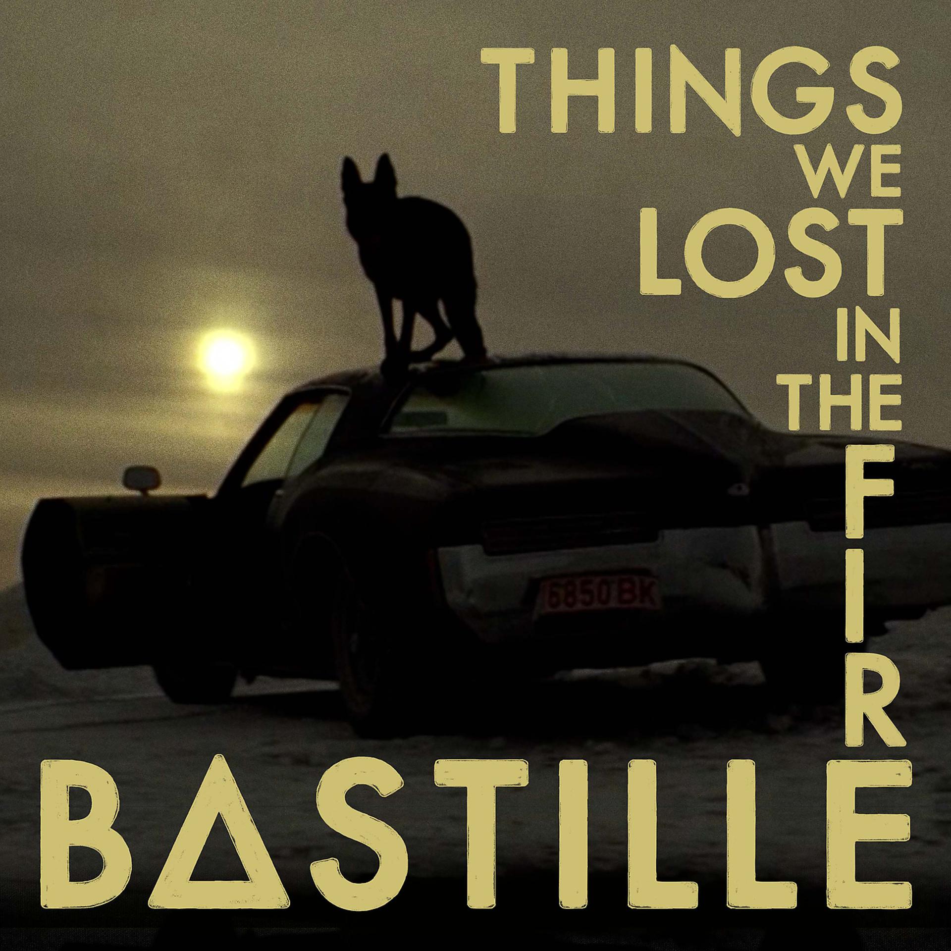 Постер альбома Things We Lost In The Fire