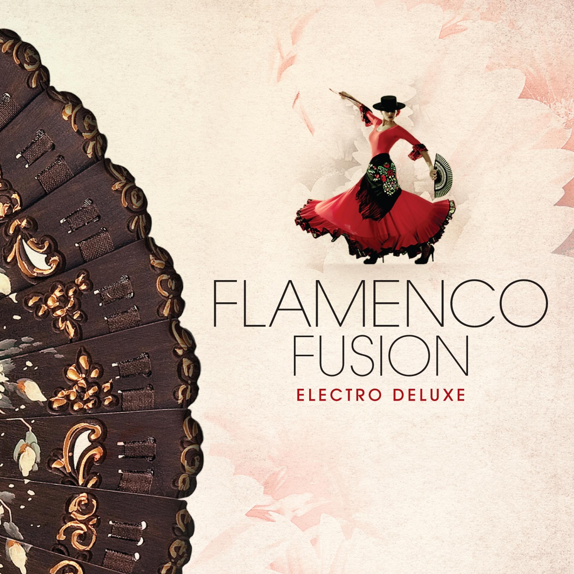 Постер альбома Flamenco Fusion - Electro Deluxe
