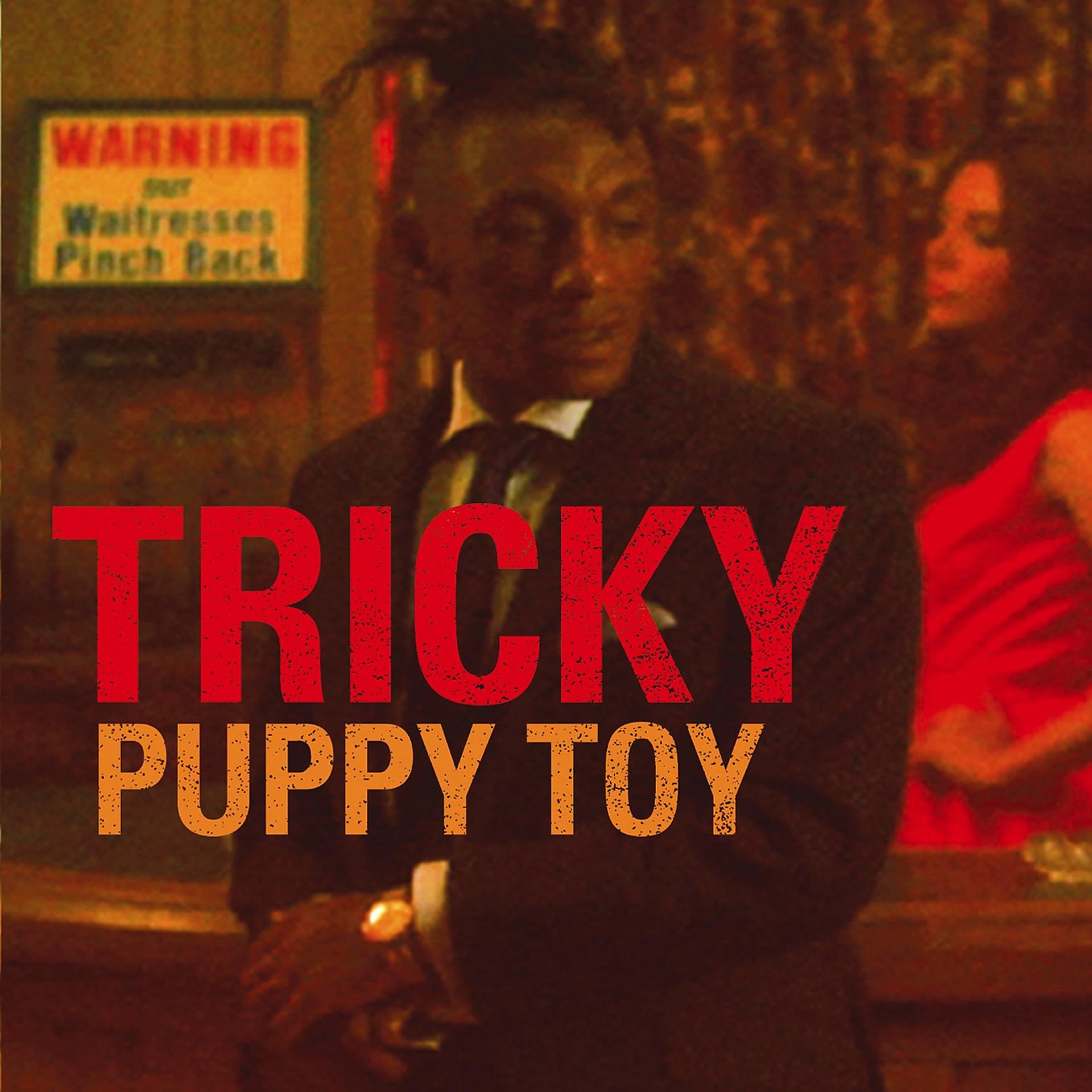 Постер альбома Puppy Toy