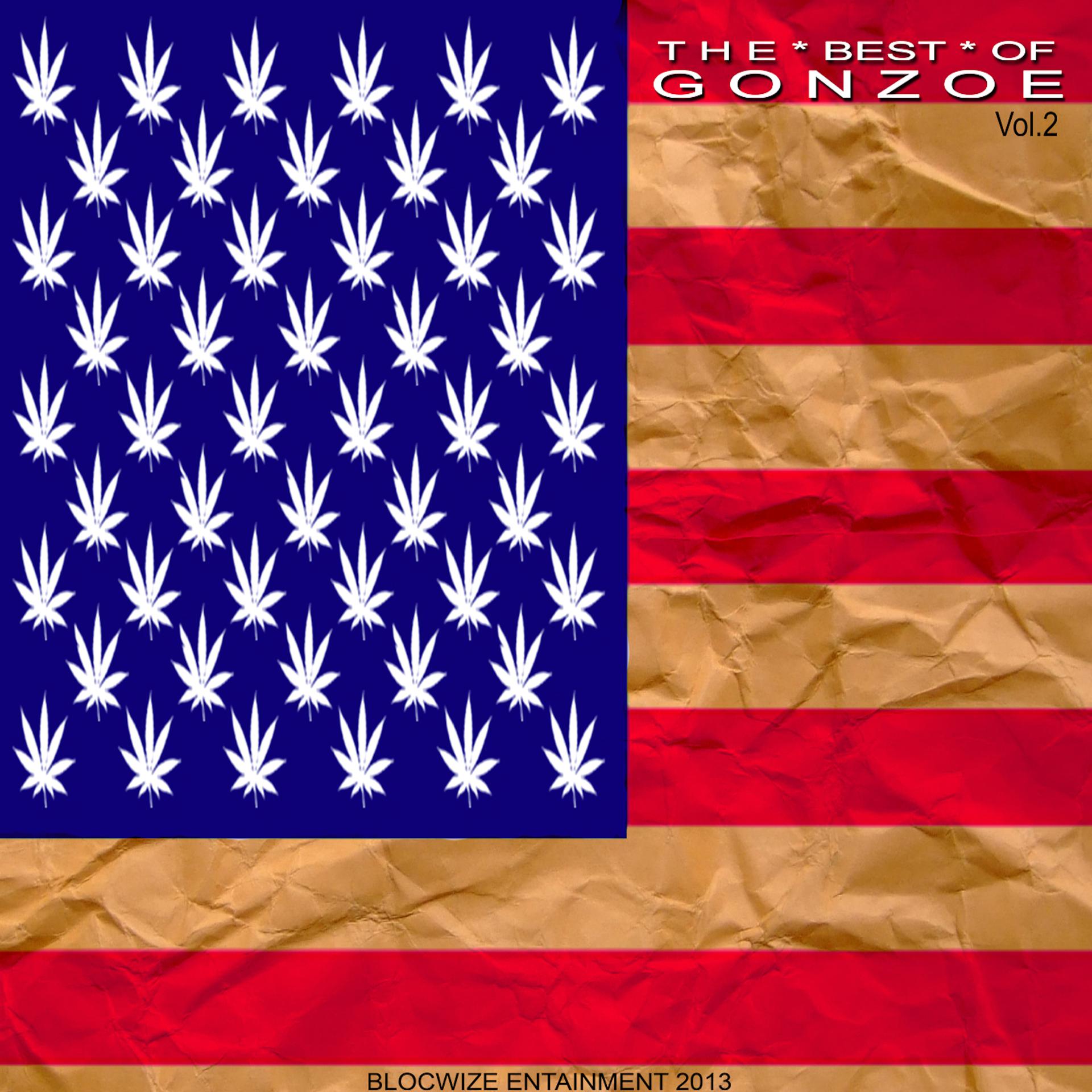Постер альбома The Best of Gonzoe 2