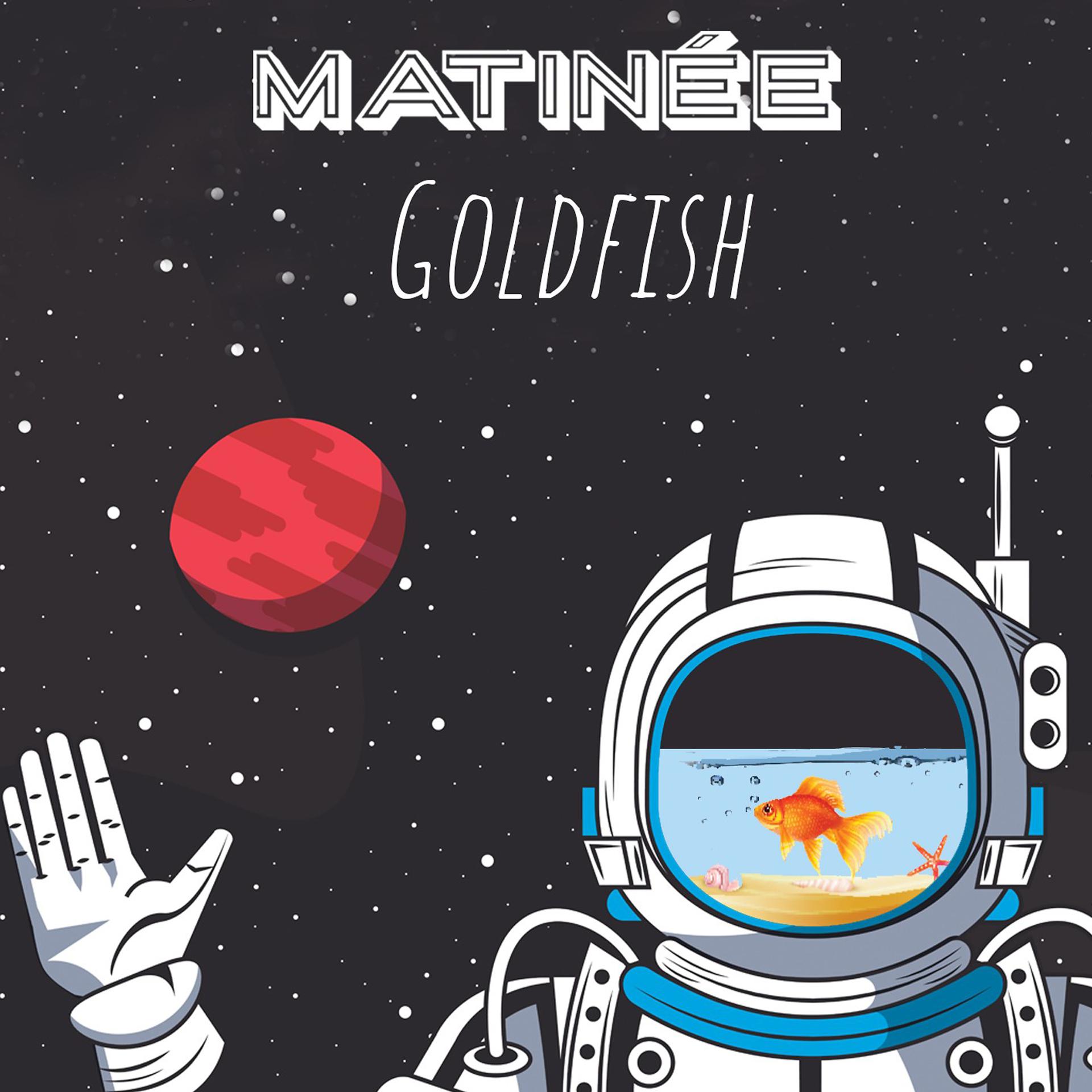 Постер альбома Goldfish (Radio Edit)