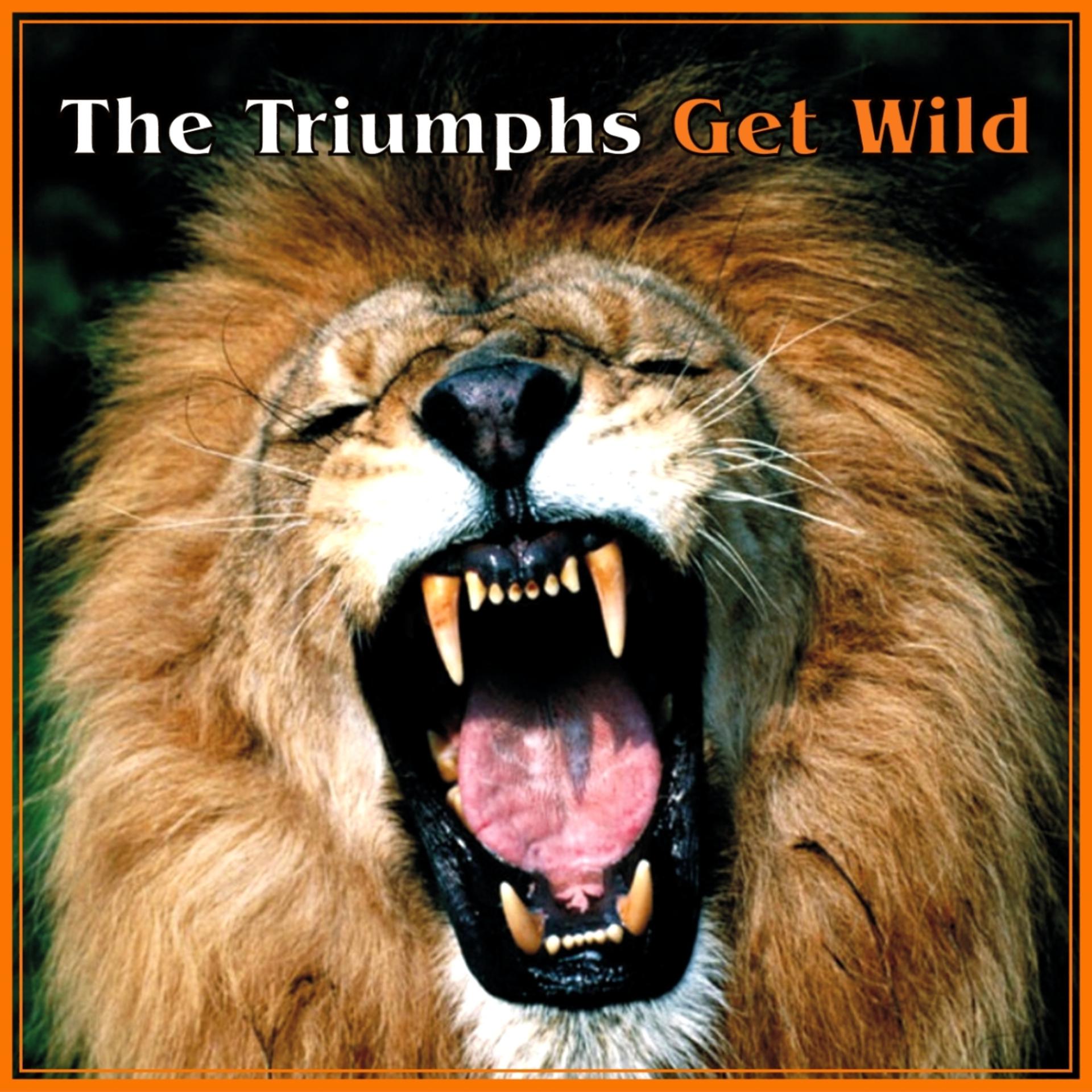 Постер альбома Get Wild
